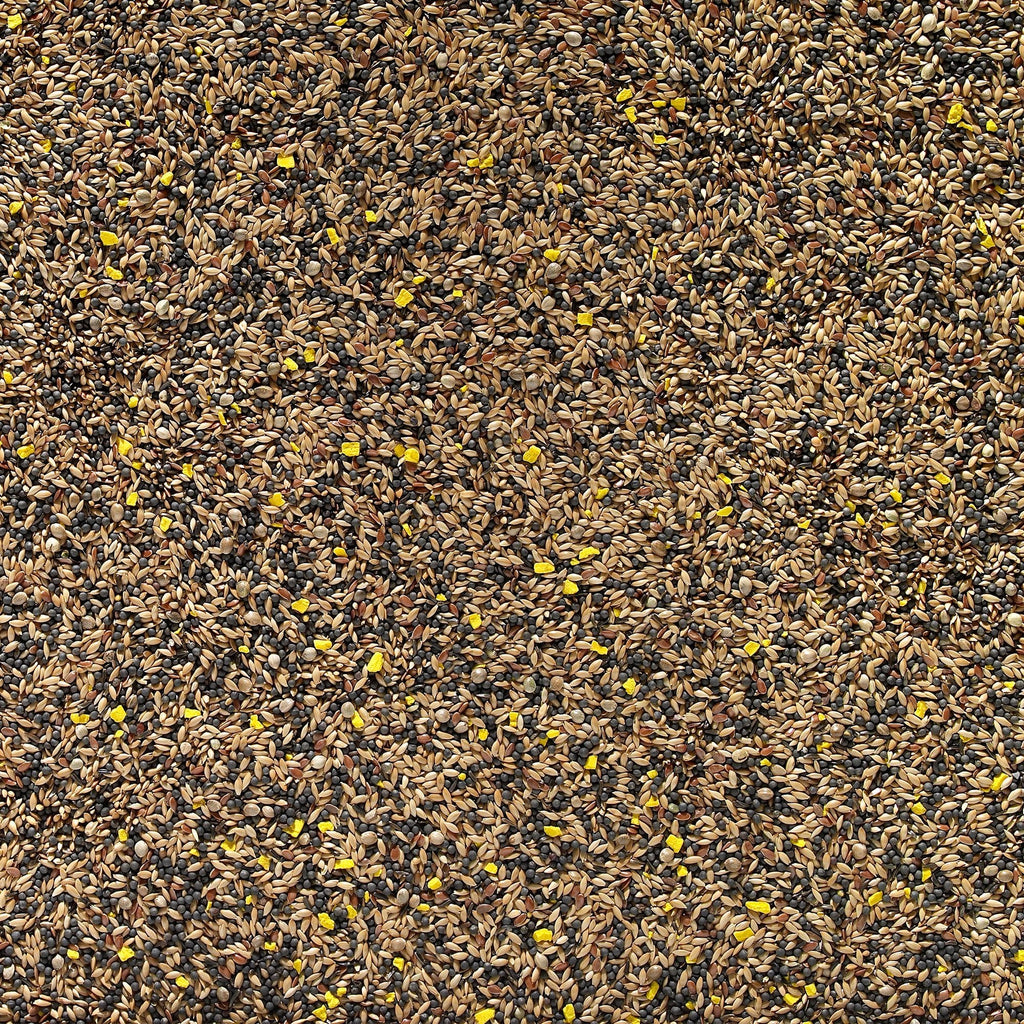 Johnston & Jeff Mixed Canary Favourite Bird Seed 20kg