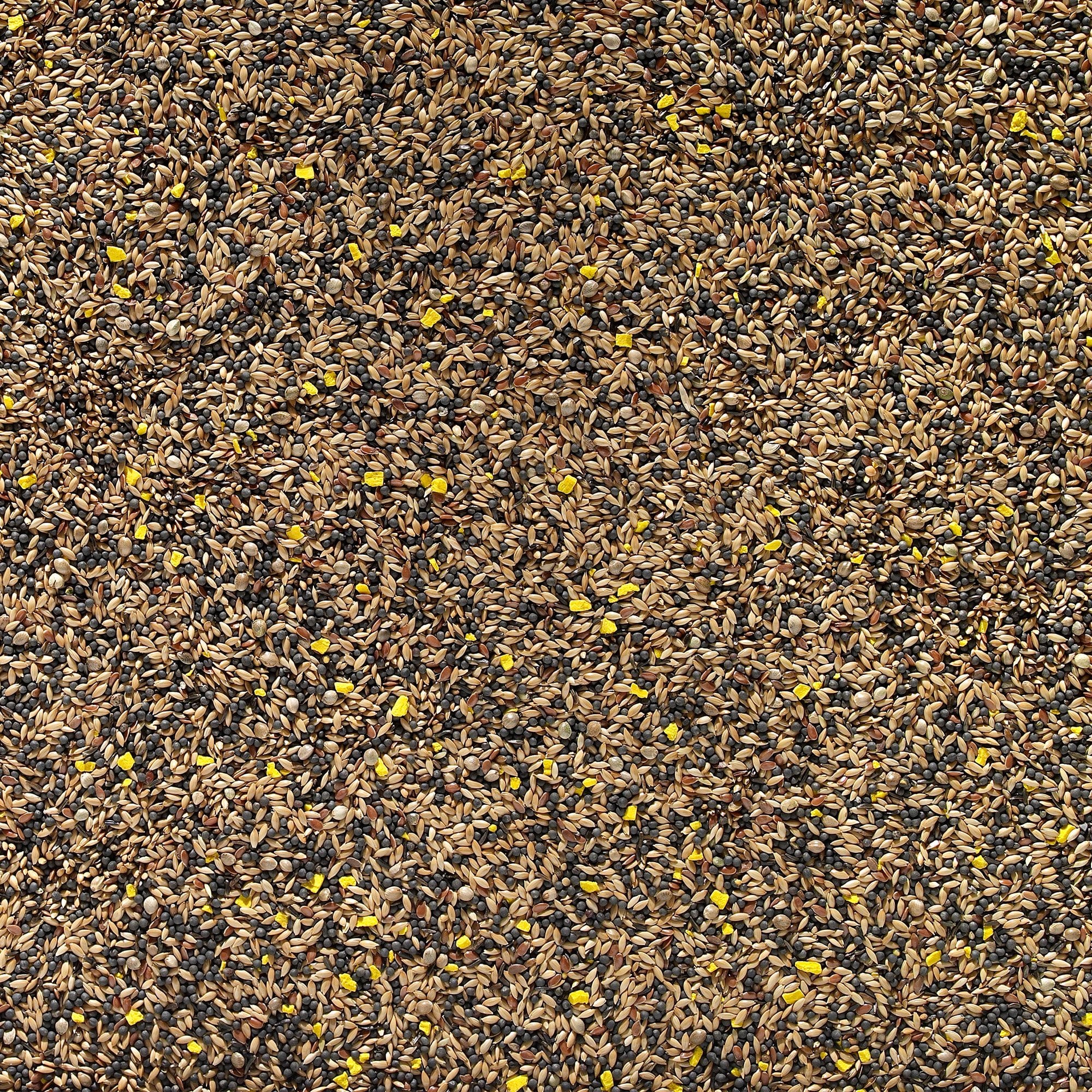 Mixed Canary Favourite Bird Seed 20kg
