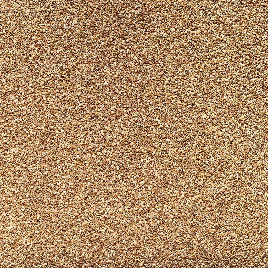 Foreign Finch Bird Seed 20kg