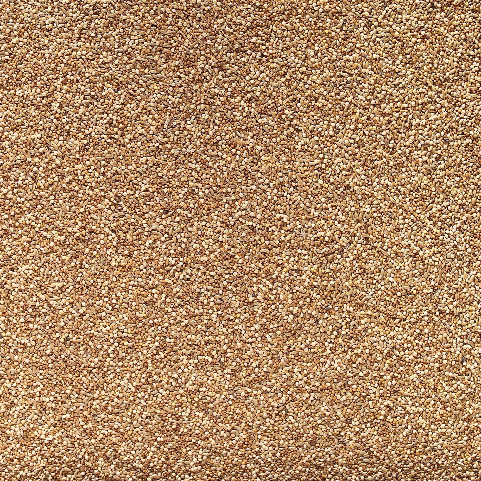 Foreign Finch Bird Seed 20kg