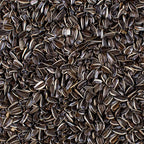 Close-up of Johnston & Jeff Medium Striped Sunflower Seeds — dark shells with white stripes, high in oil and protein for parrots and wild garden bird