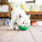 LickiMat Wobble Bowl - Green