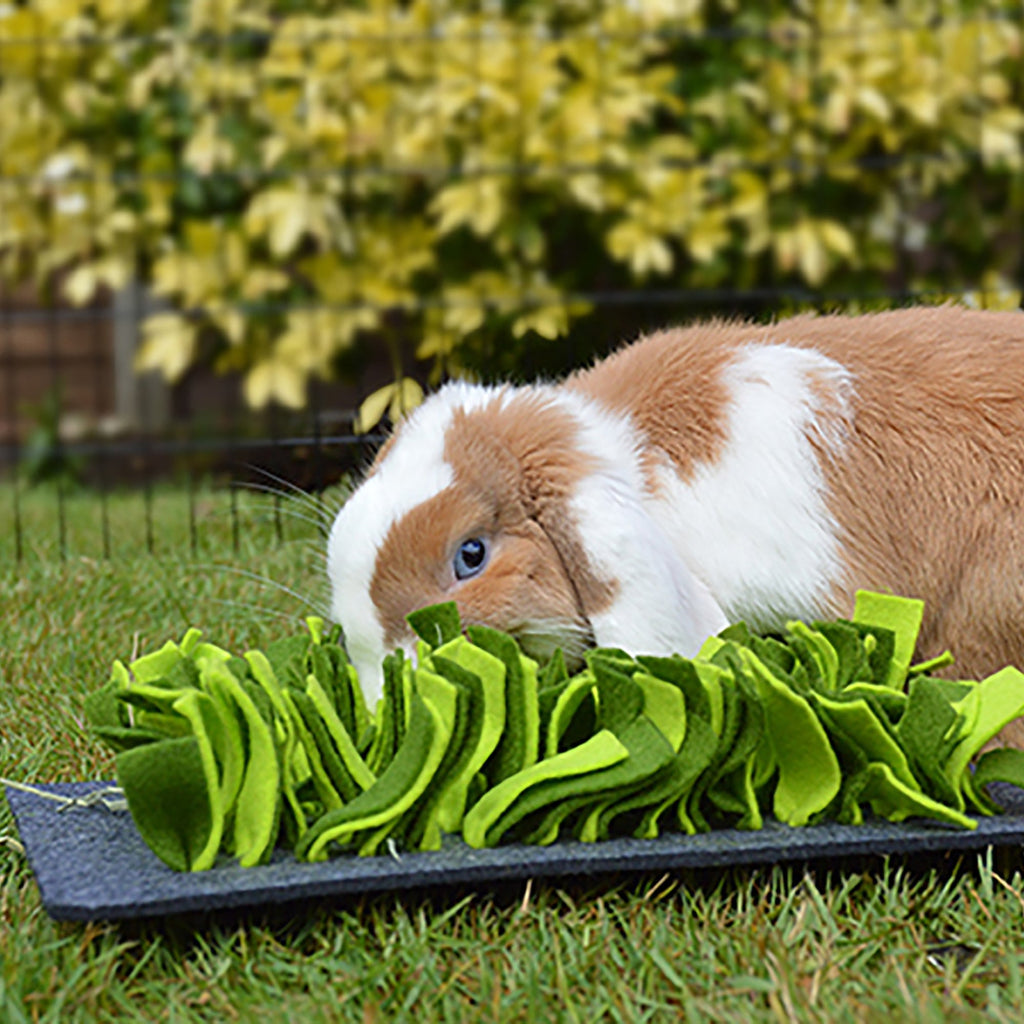 Boredom Breaker Snuffle Forage Mat