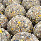 Wild Bird Fat Balls 100 Pack