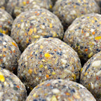 Close-up of textured, multicolored spherical objects resembling birdseed.