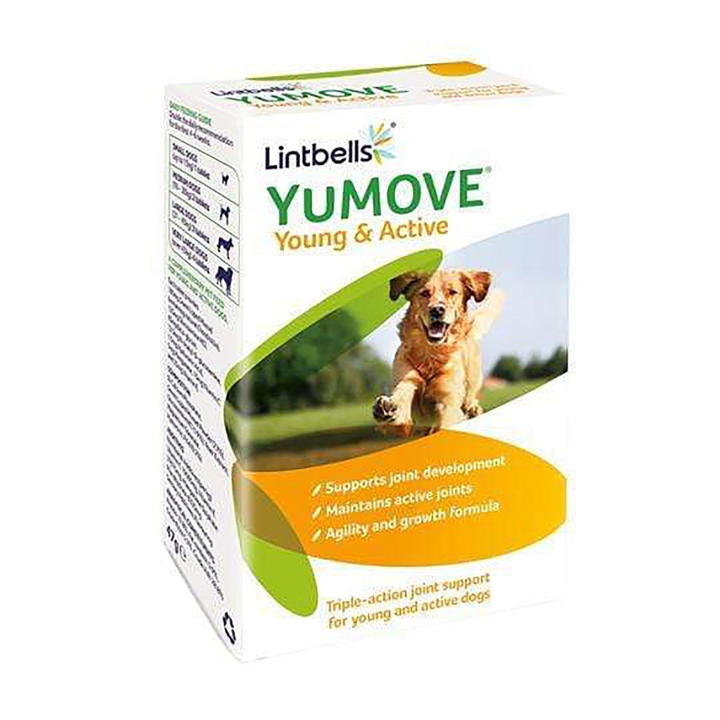Lintbells YuMove Young & Active 60 Tablets