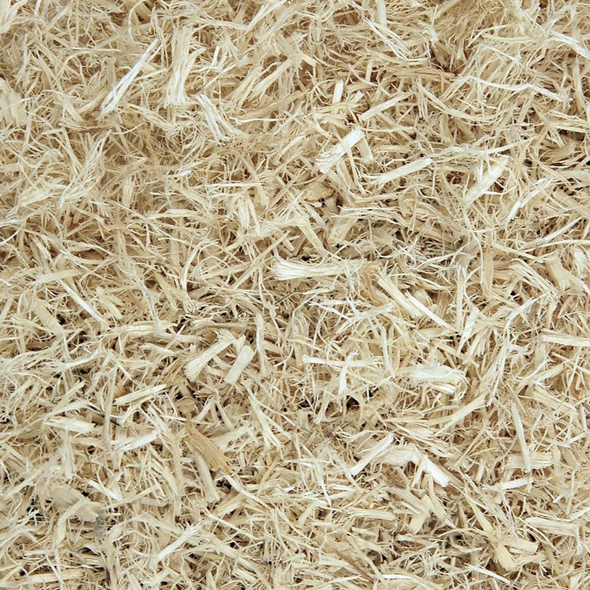 Aspen Reptile Bedding 6ltr