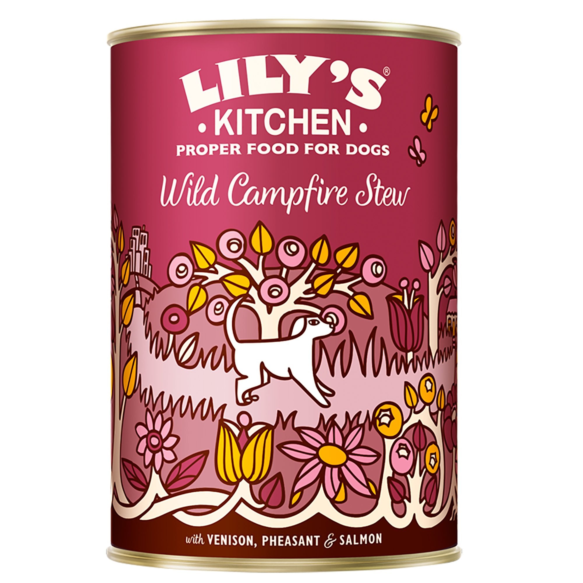 Wild Campfire Stew Wet Dog Food 400g