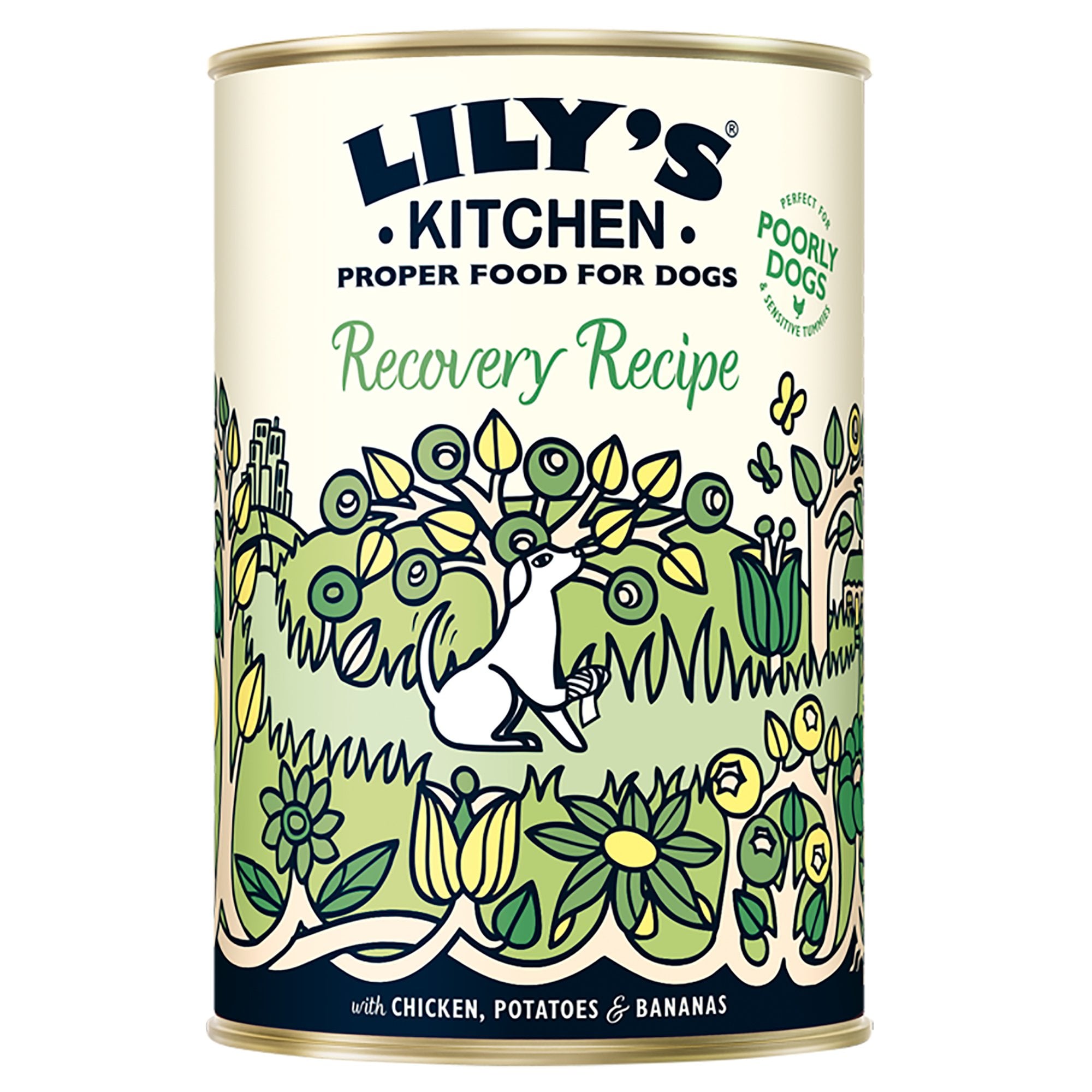 Recovery Recipe Wet Dog Food 400g