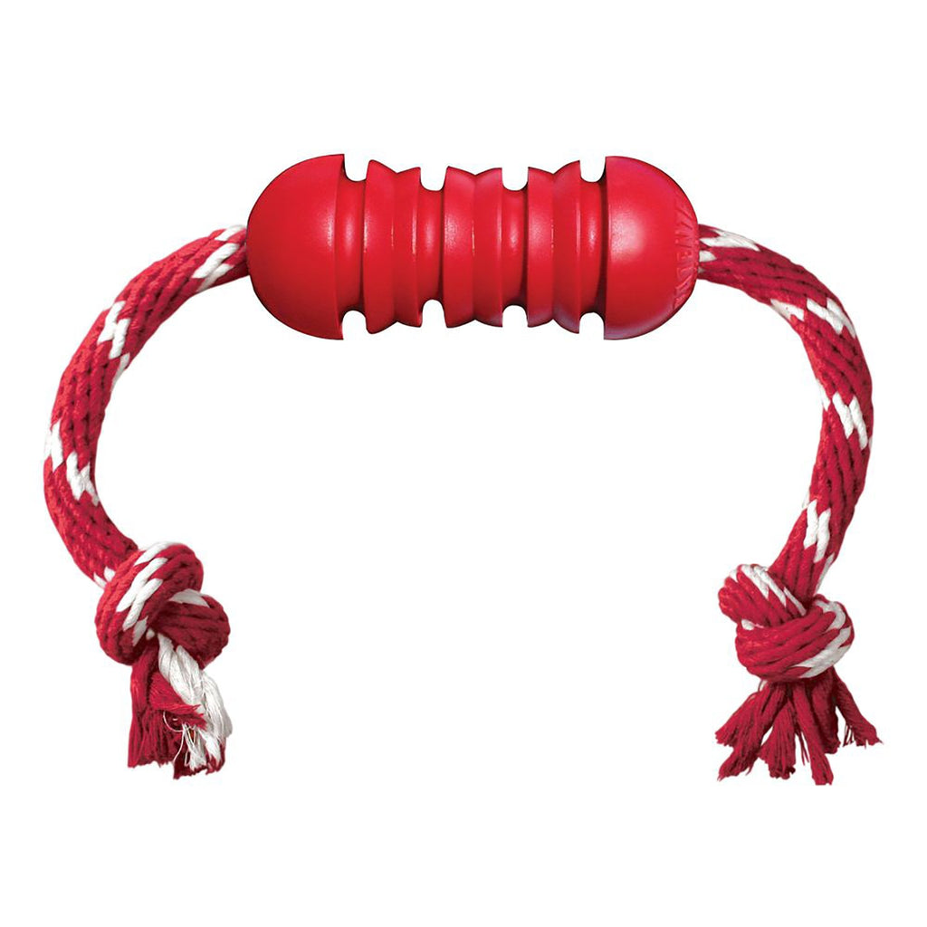 Dental With Rope Dog Toy - Medium