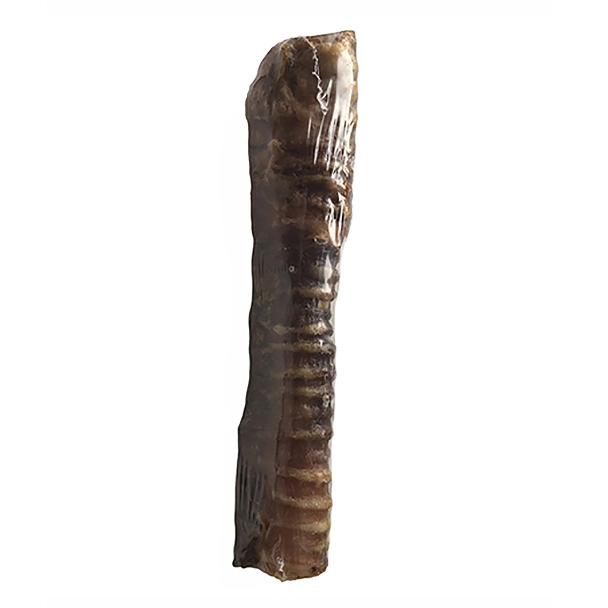 Beef Trachea Natural Dog Treat 1pk