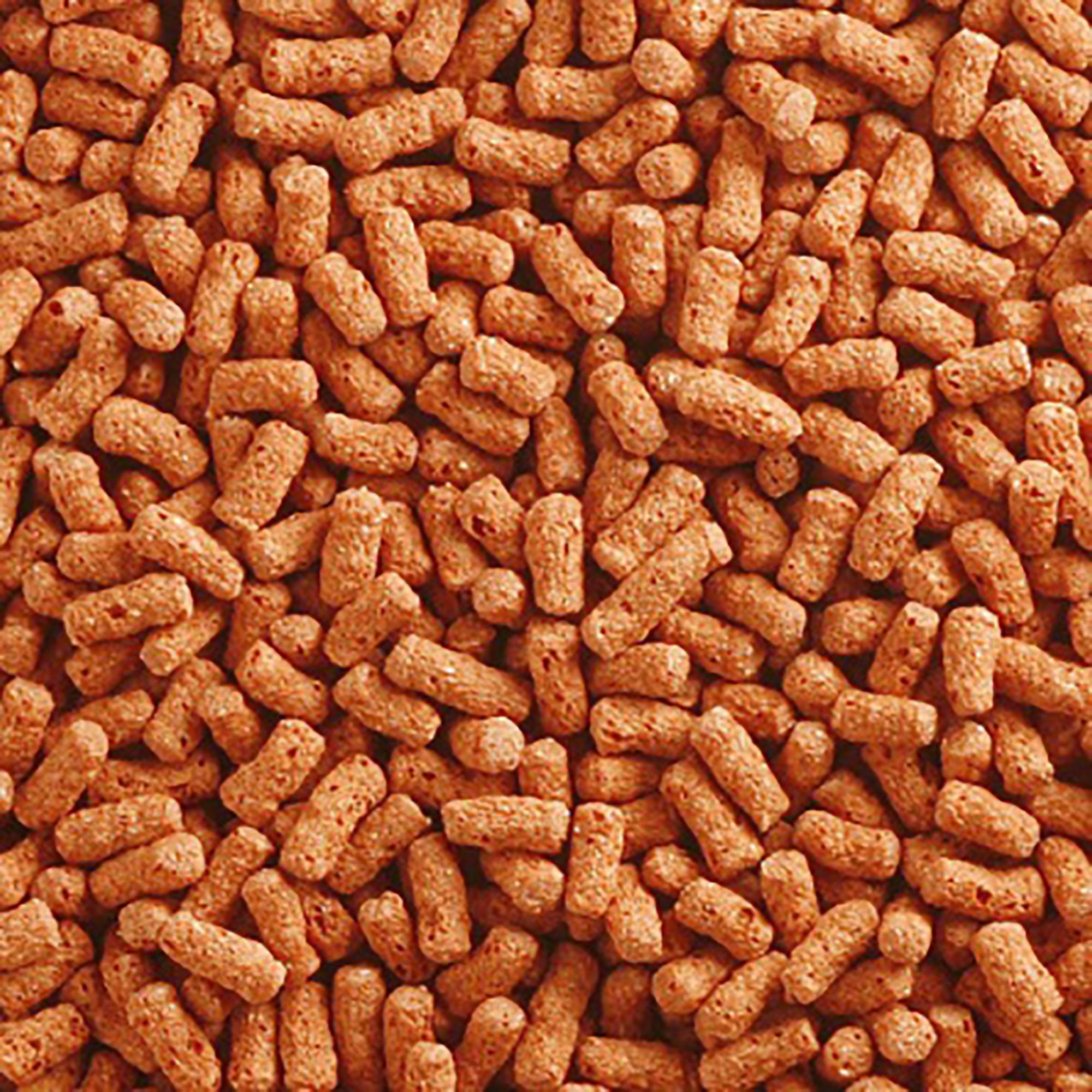 Koi Floating Pond Sticks 5kg