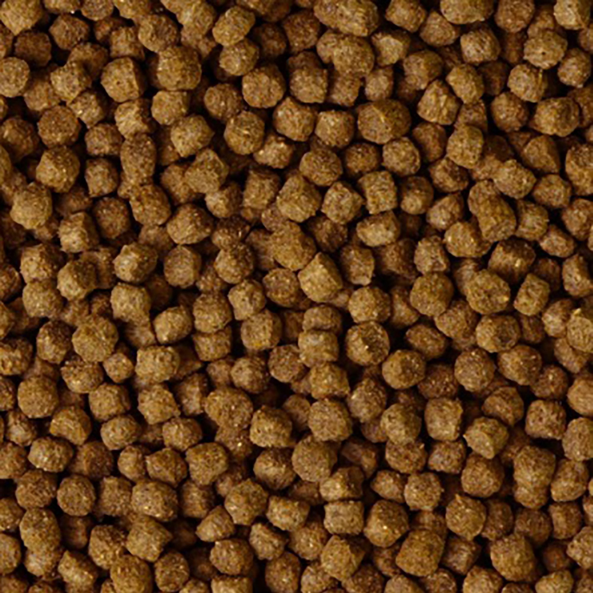 Premium Floating Pond Pellets 10kg