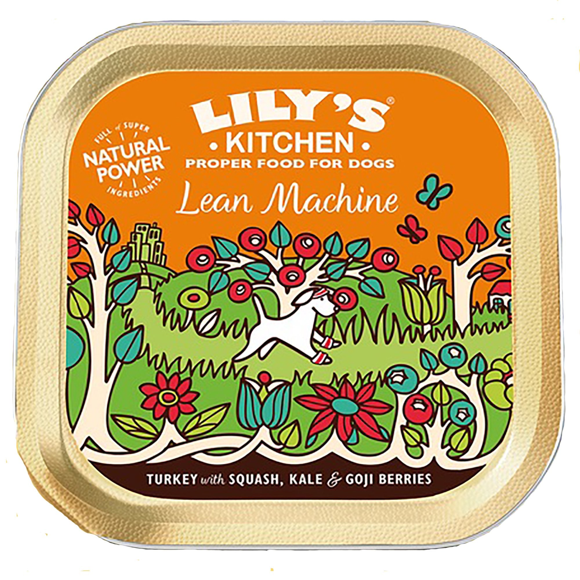 Lean Machine Turkey With Squash Adult Wet Dog Food 150g