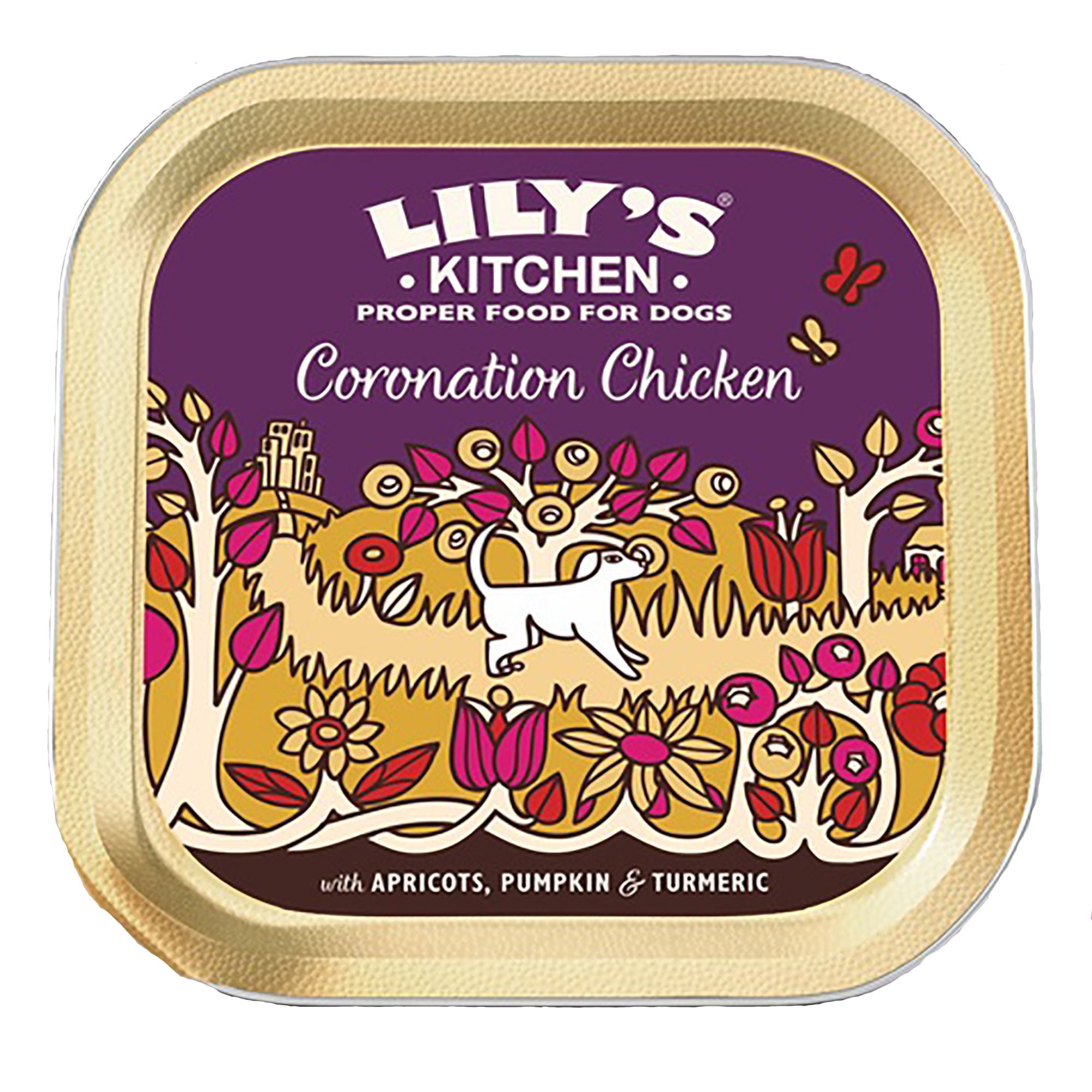 Coronation Chicken With Apricots, Pumkin & Turmeric Wet Dog Food 150g