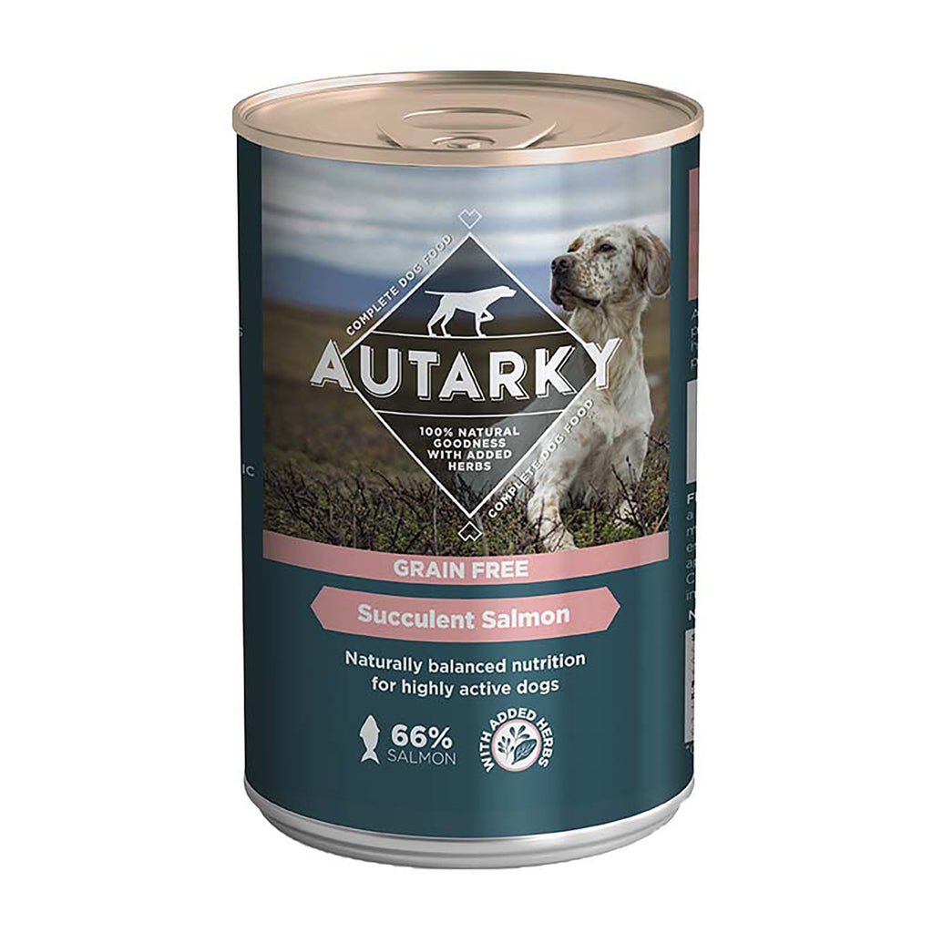 Adult Grain Free Succulent Salmon Wet Dog Food 395g