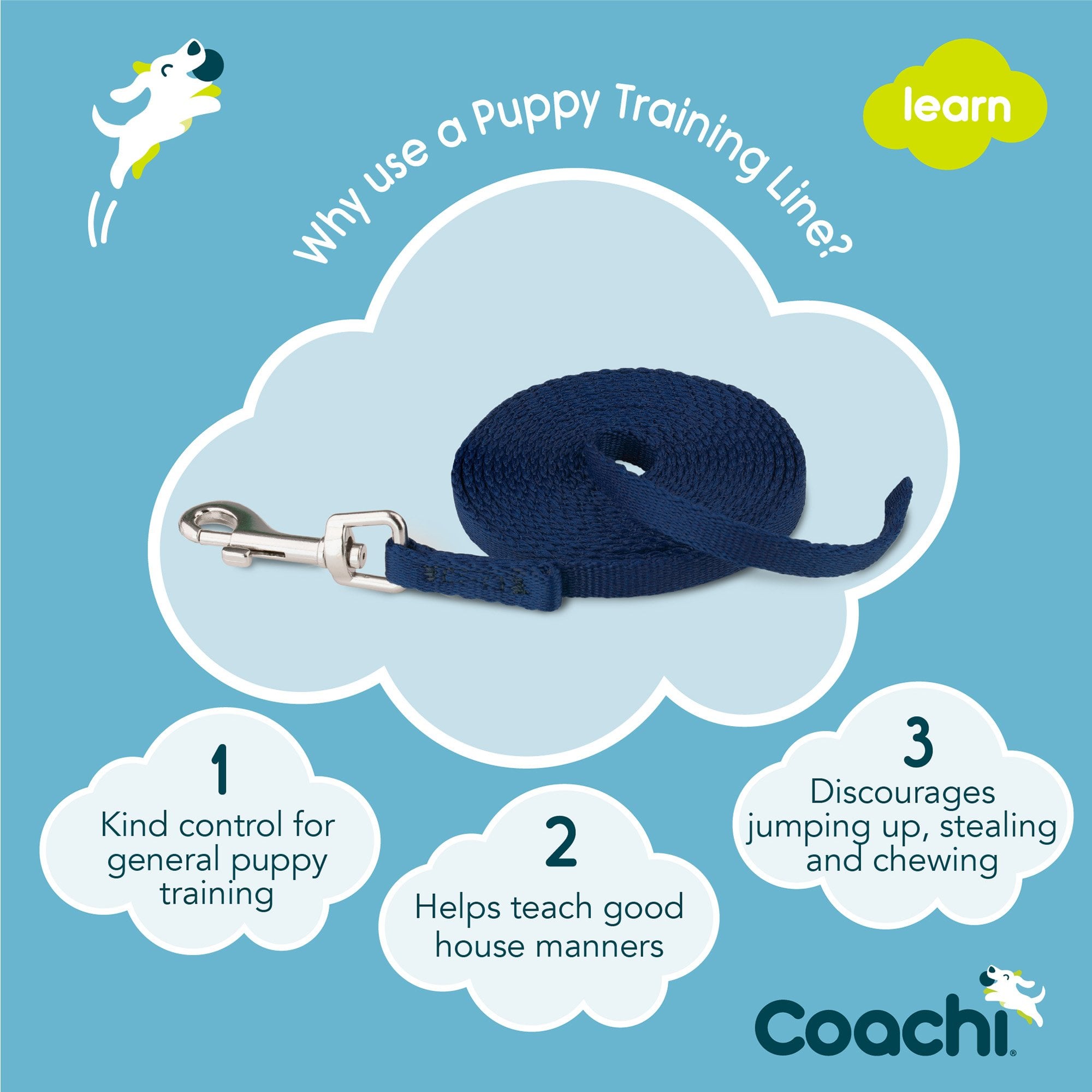Coachi Puppy Training Line 2.5Metre - Blue
