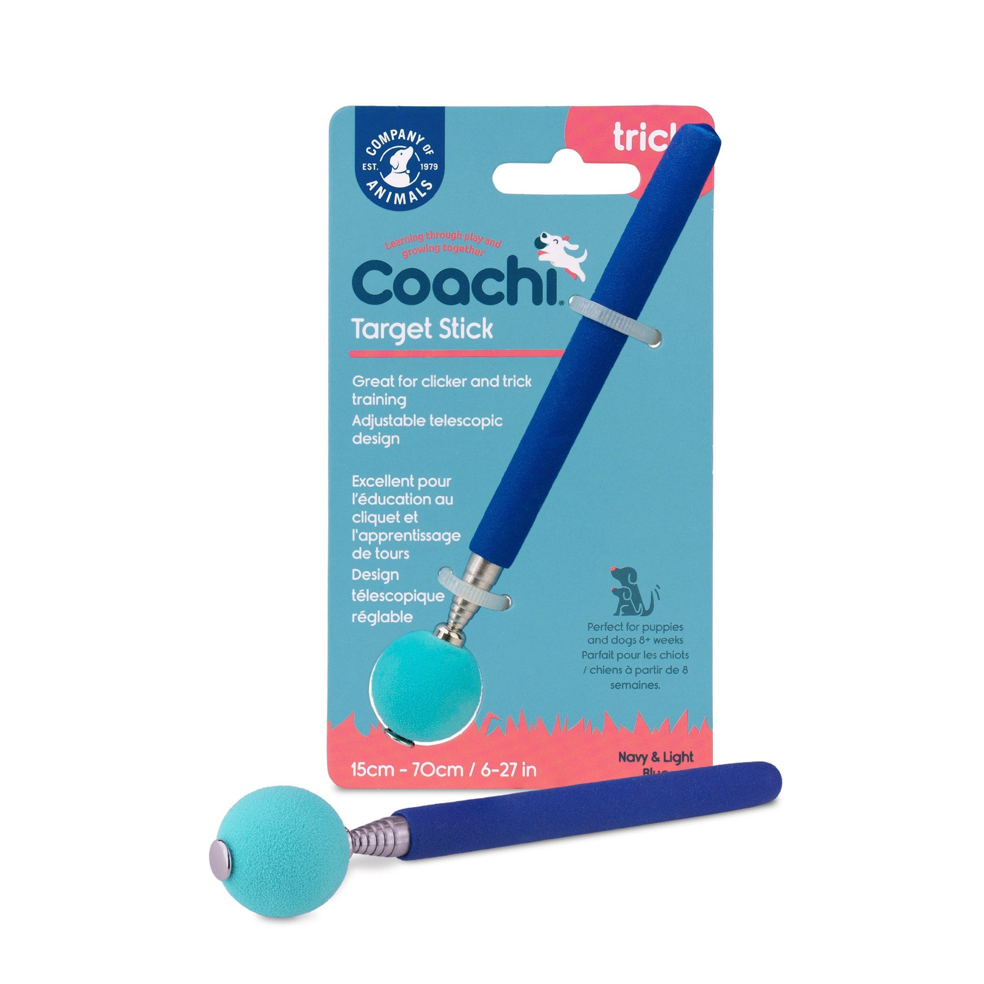 Coachi Target Stick - Blue