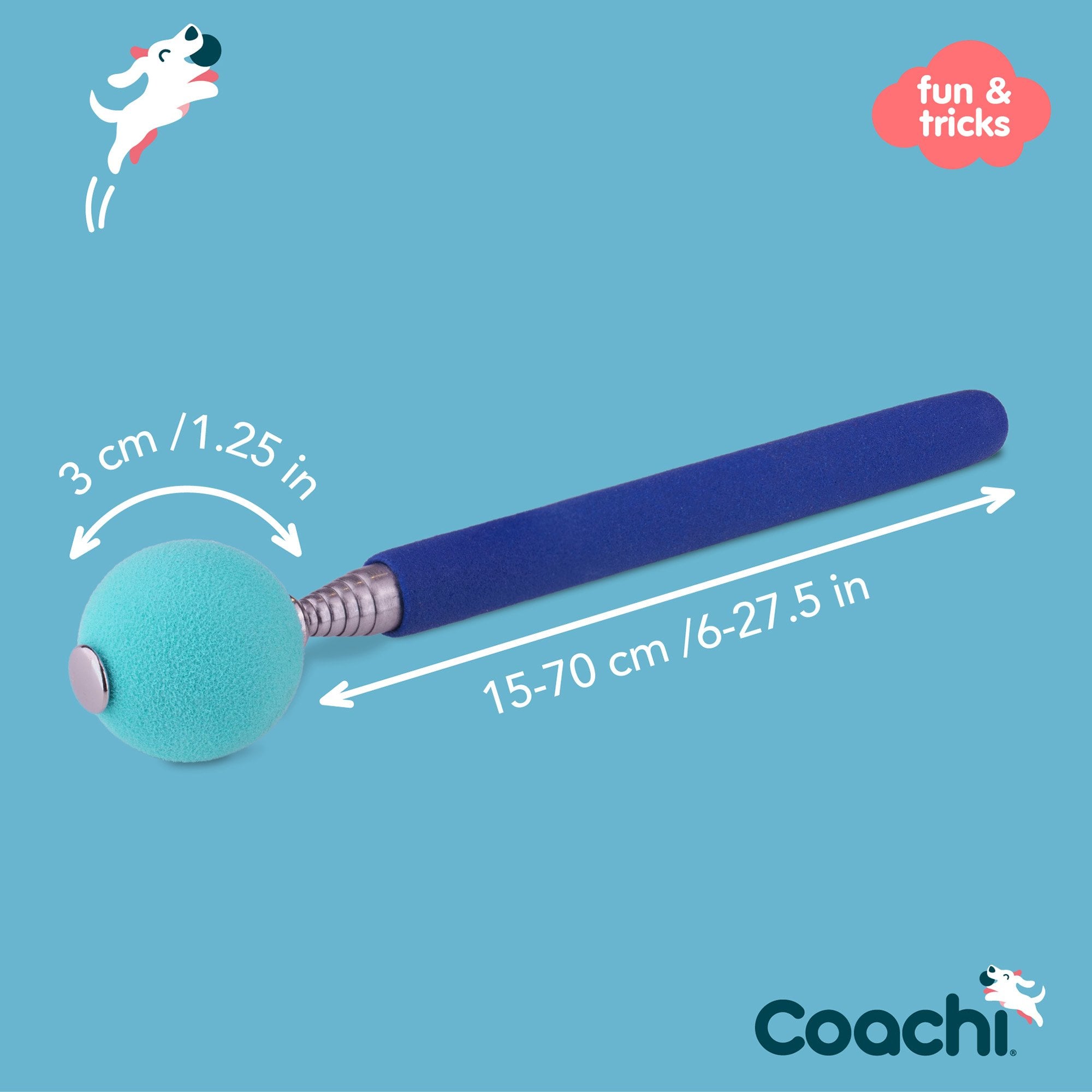 Coachi Target Stick - Blue