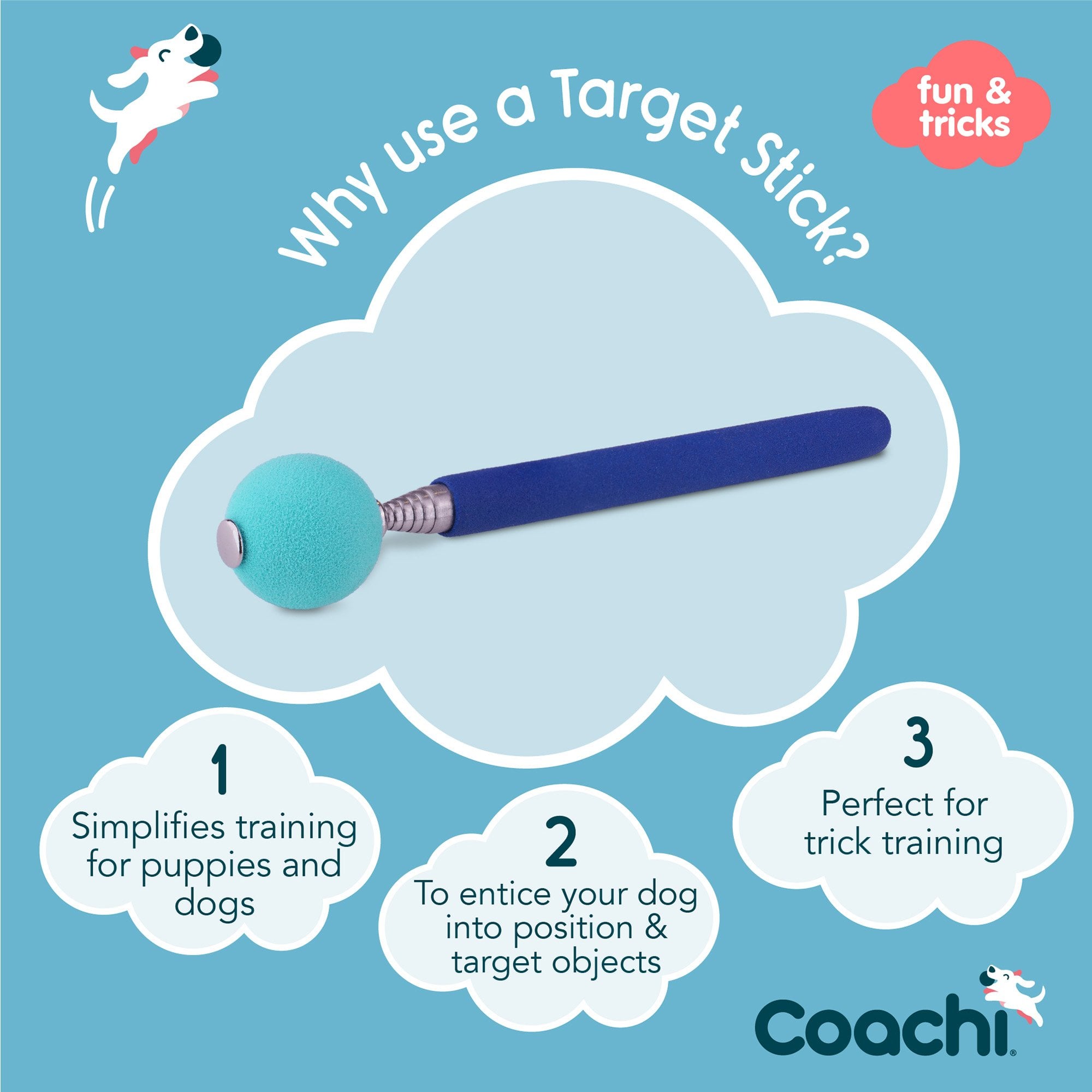 Coachi Target Stick - Blue