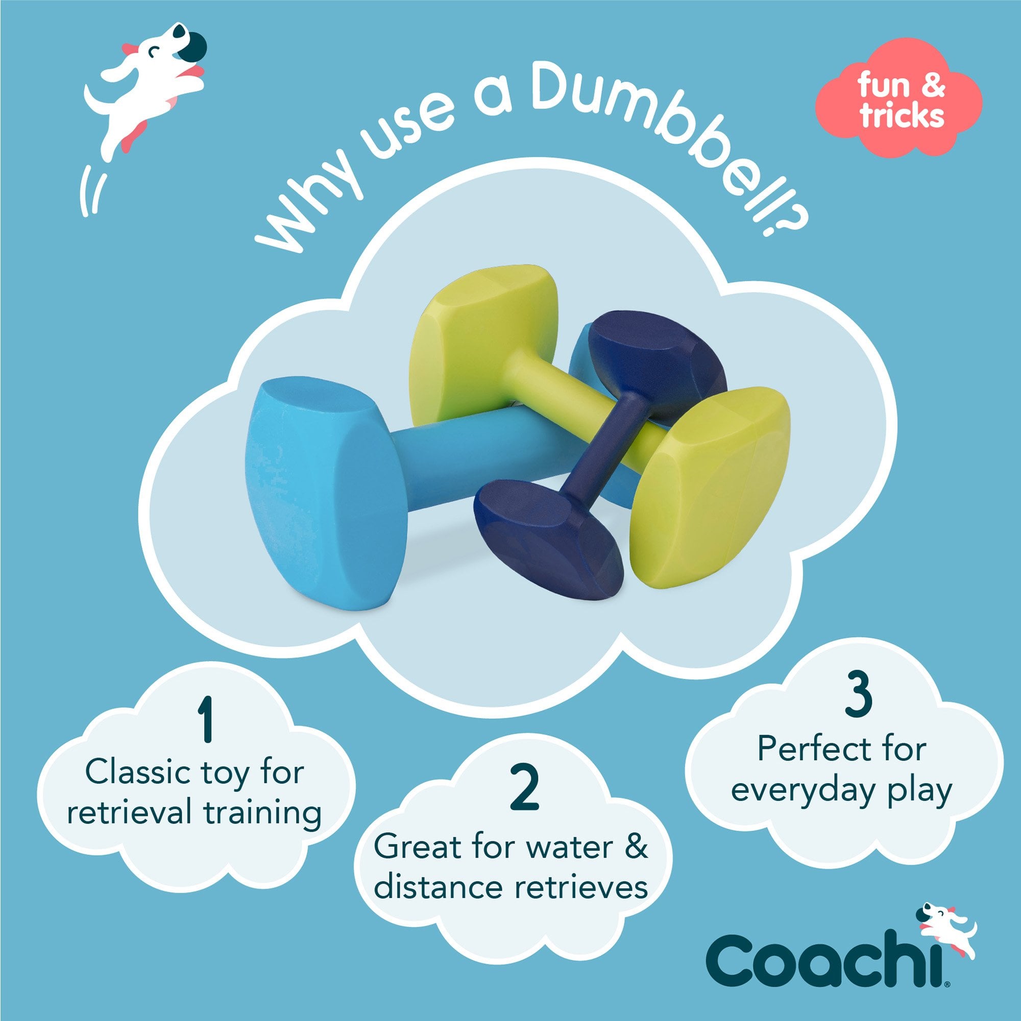 Coachi Dog Training Dumbbell - Large