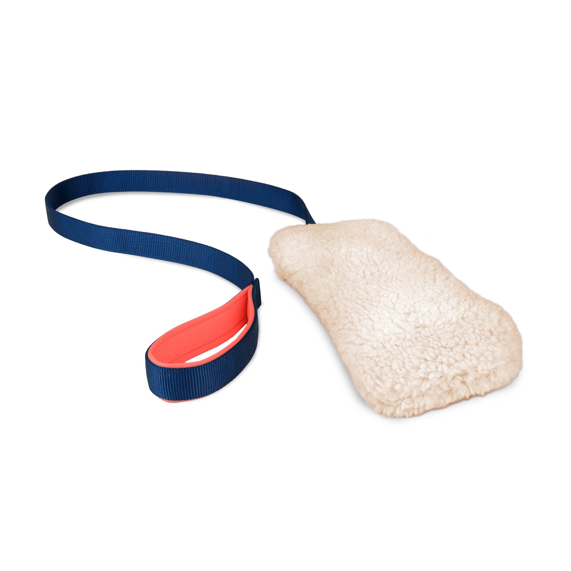 Coachi Chase & Crinkle Dog Training Toy