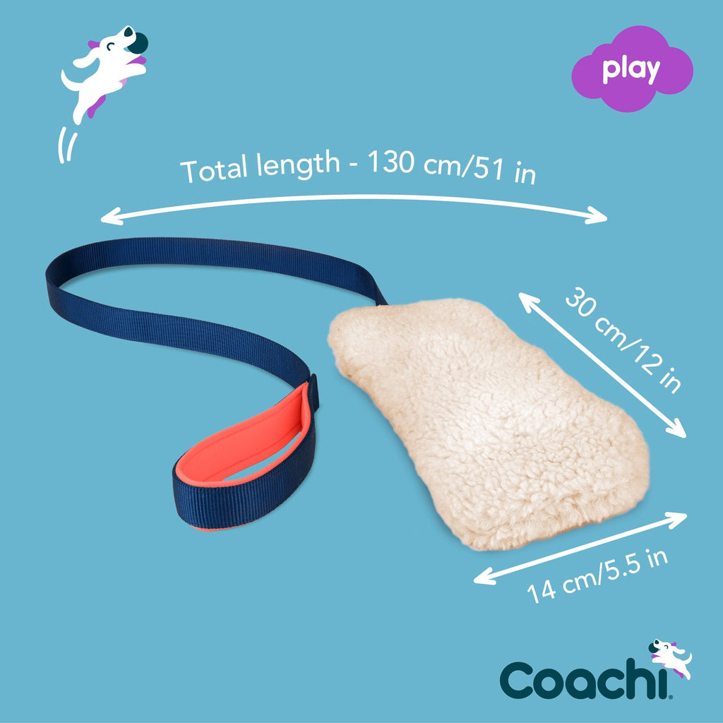 Coachi Chase & Crinkle Dog Training Toy