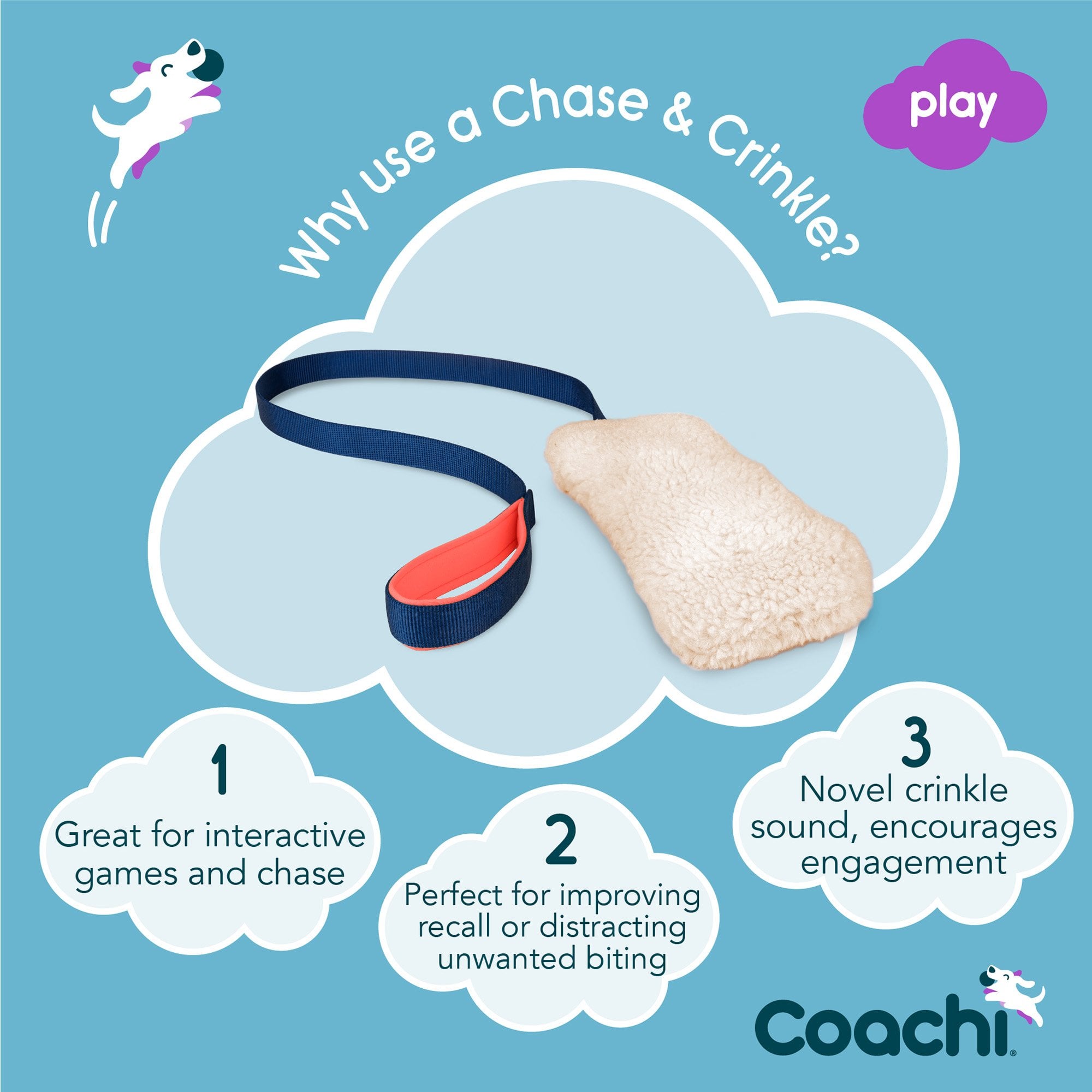 Coachi Chase & Crinkle Dog Training Toy