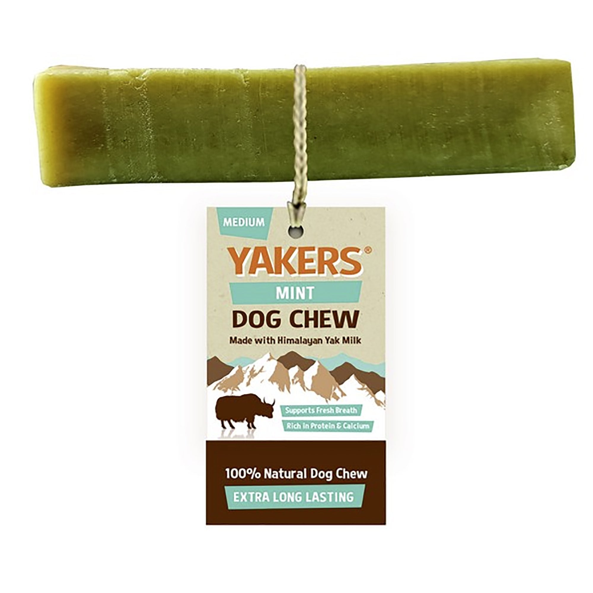Himalayan Yak Milk Dog Chew Medium - Mint