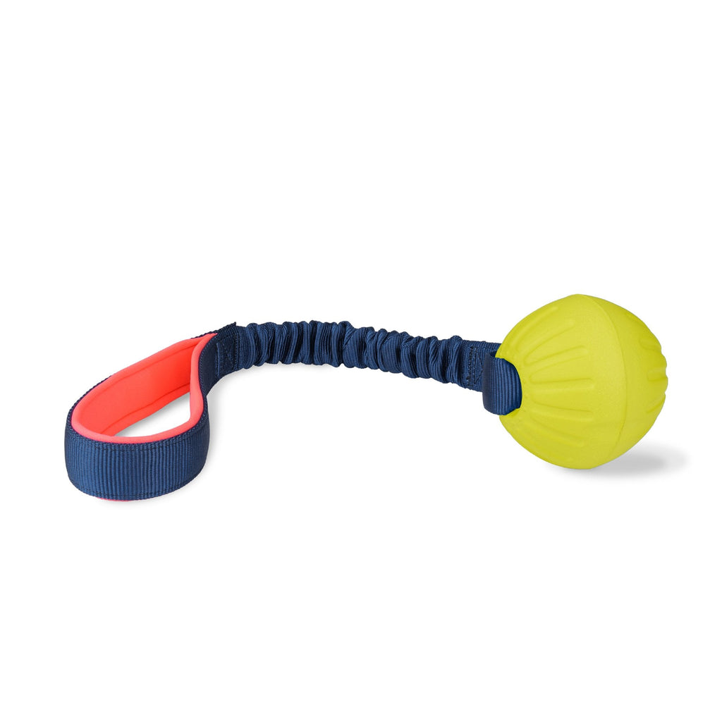 Coachi Tuggi Ball Dog Training Toy - Navy/Coral/Lime