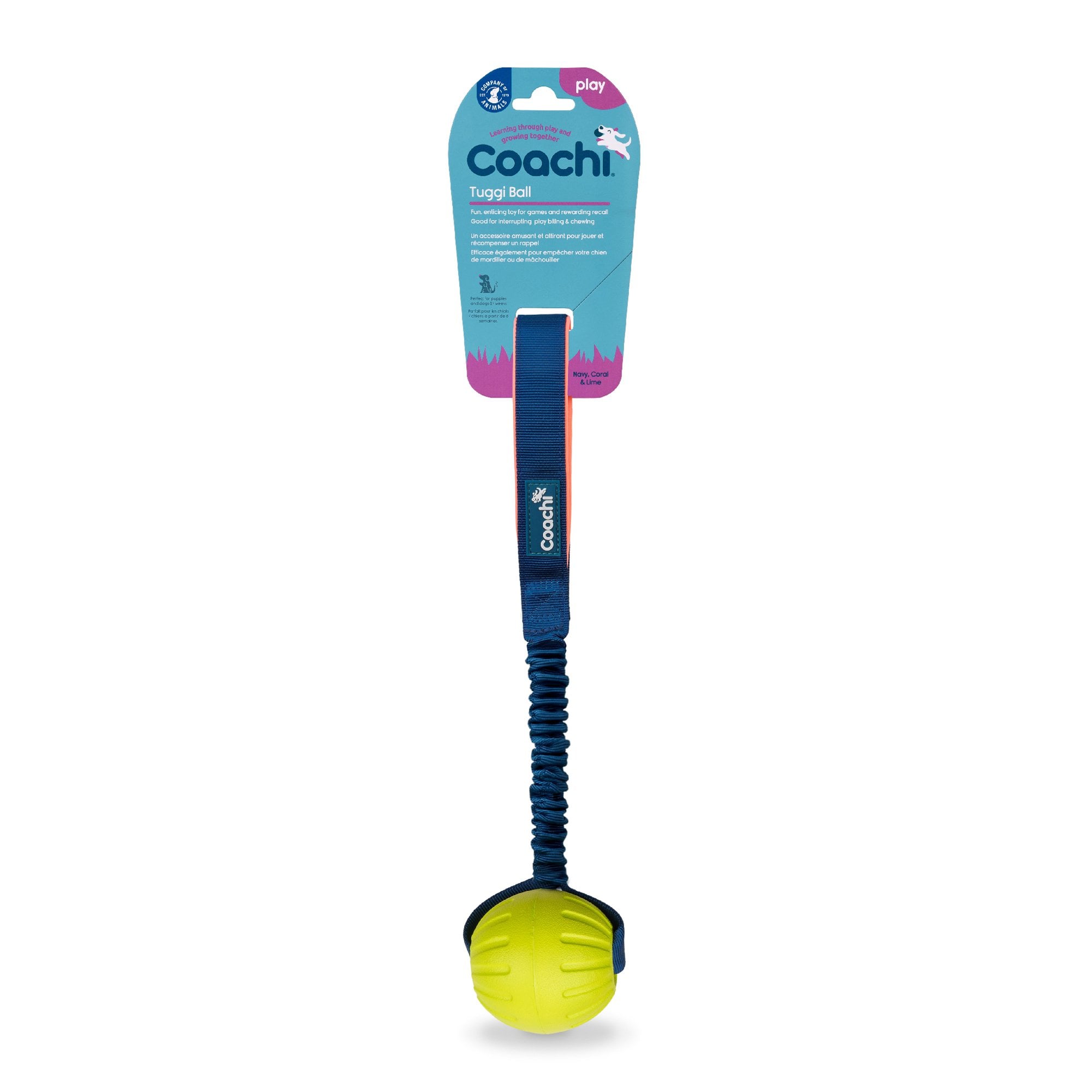 Coachi Tuggi Ball Dog Training Toy - Navy/Coral/Lime