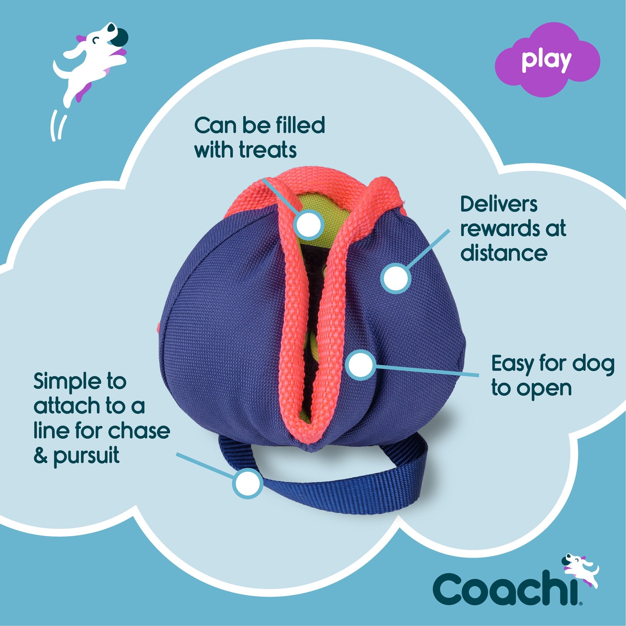 Coachi Chase & Treat Dog Training Toy