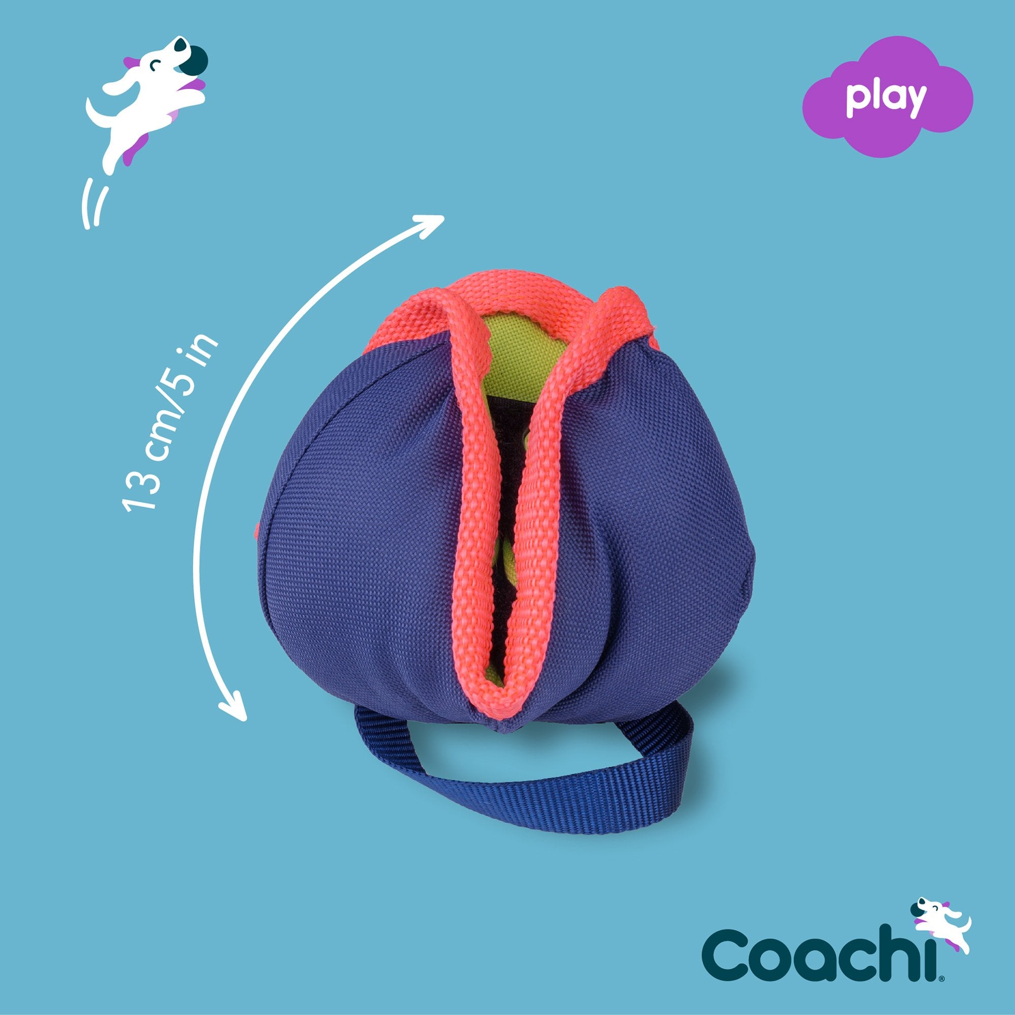 Coachi Chase & Treat Dog Training Toy