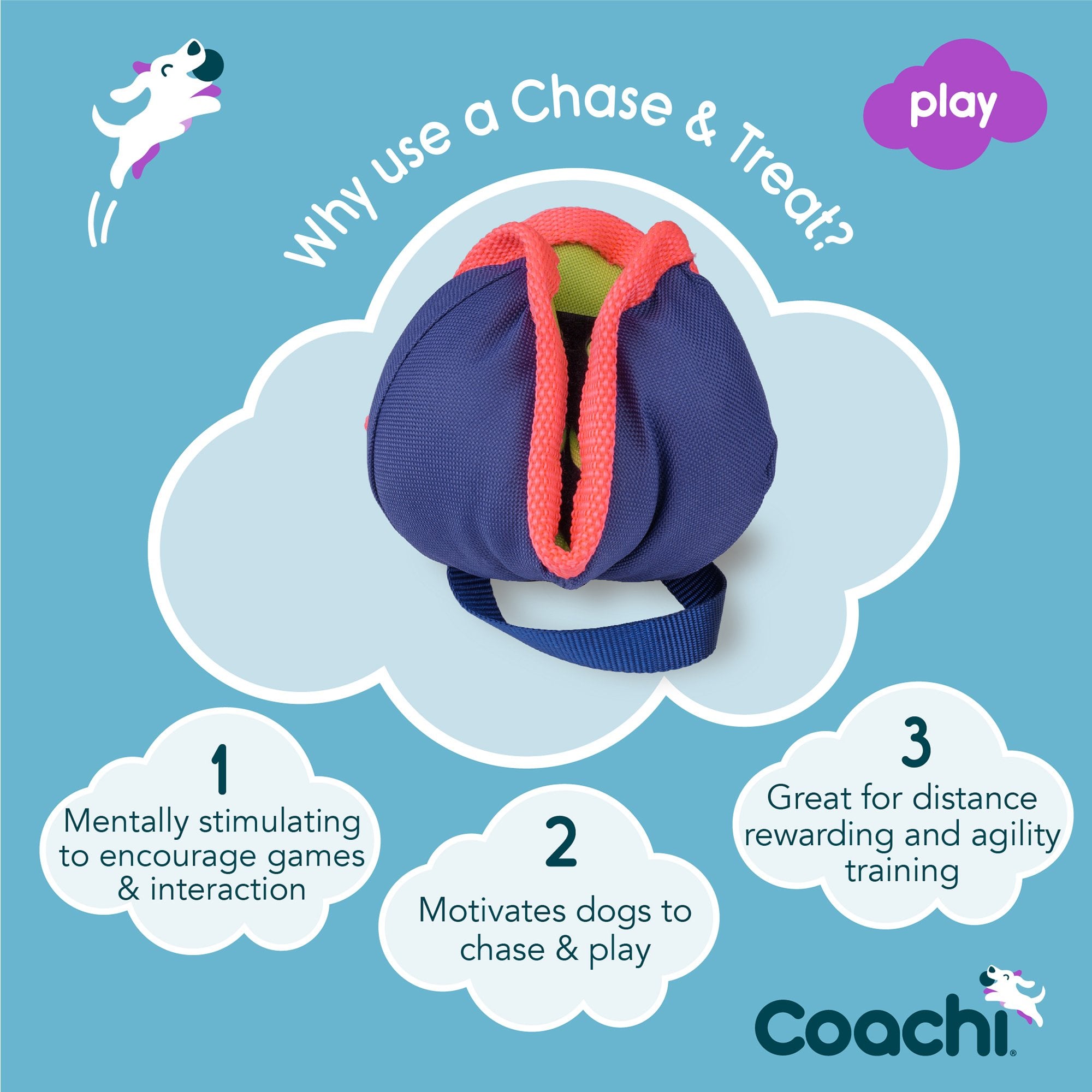 Coachi Chase & Treat Dog Training Toy