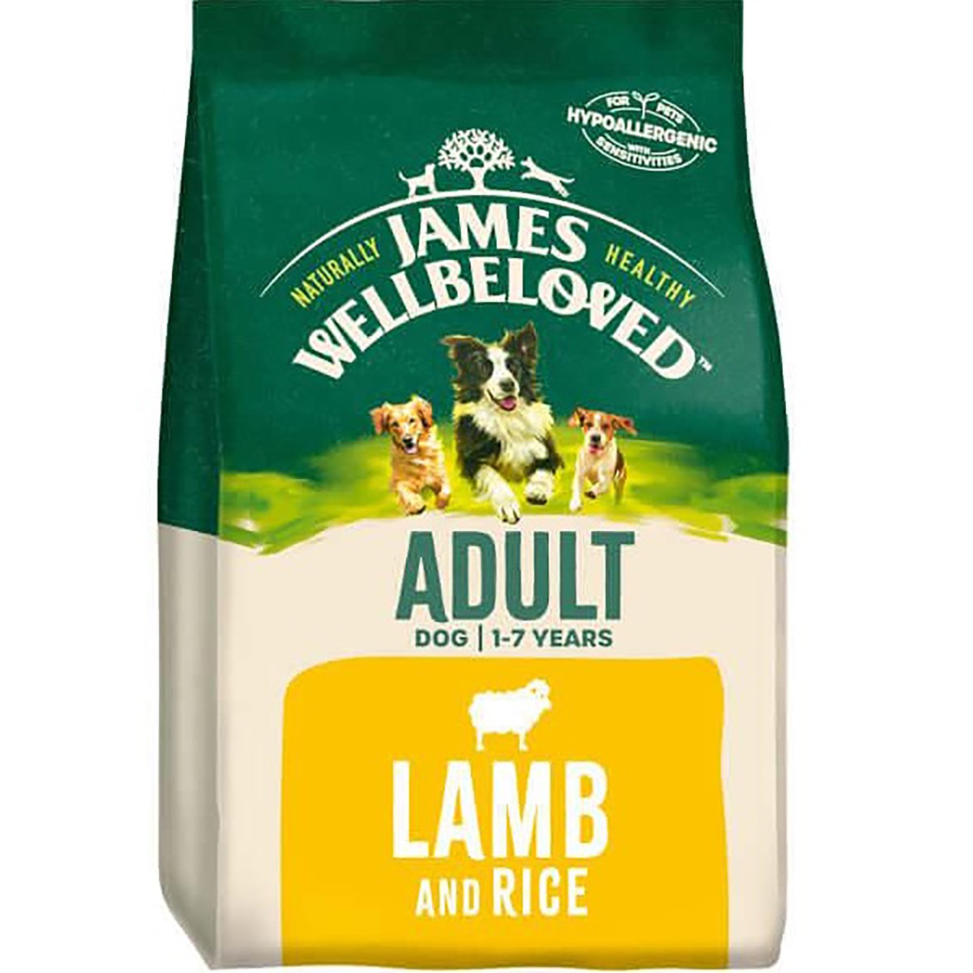 Adult Lamb & Rice Dry Dog Food 2kg