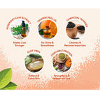 Pet Head Ditch The Dirt Dog Shampoo 300ml