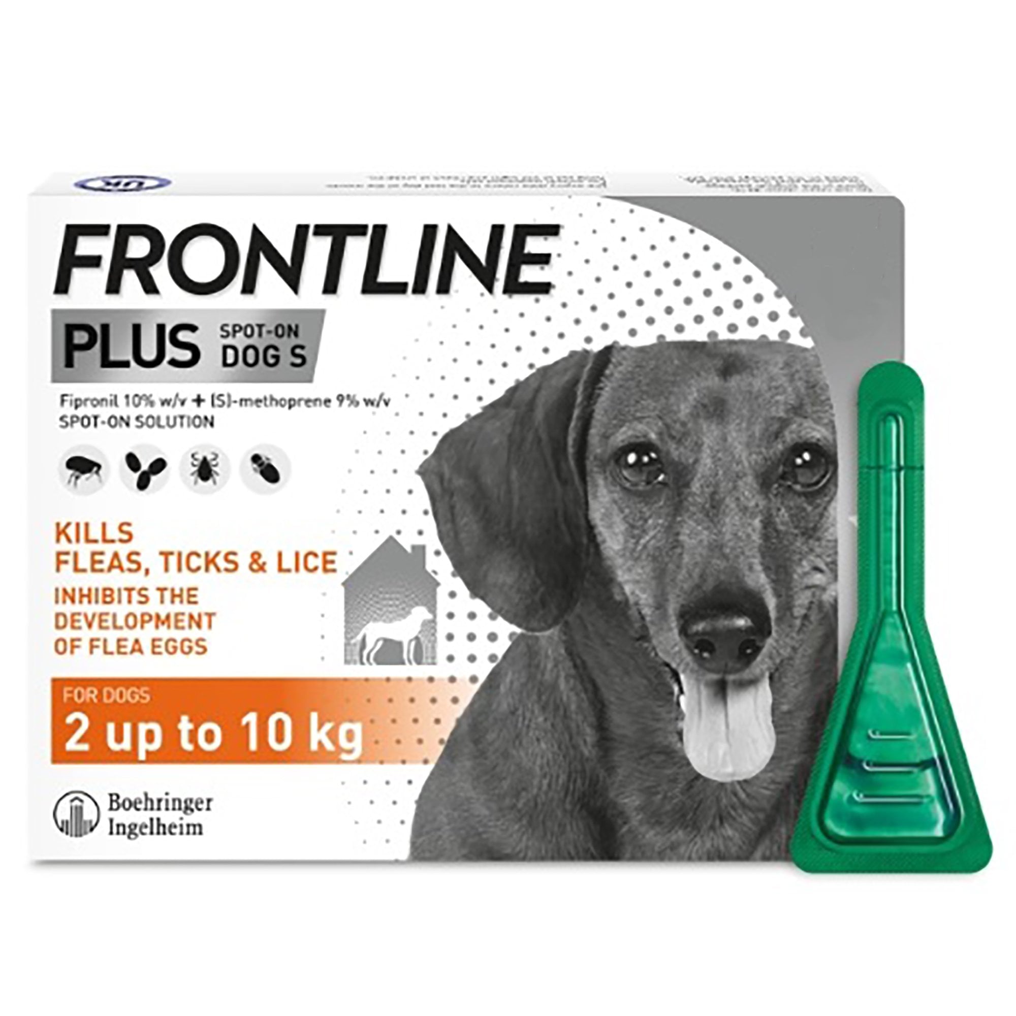Plus Spot On Flea & Tick Dog Small 1 Pipette (2 to 10kg)