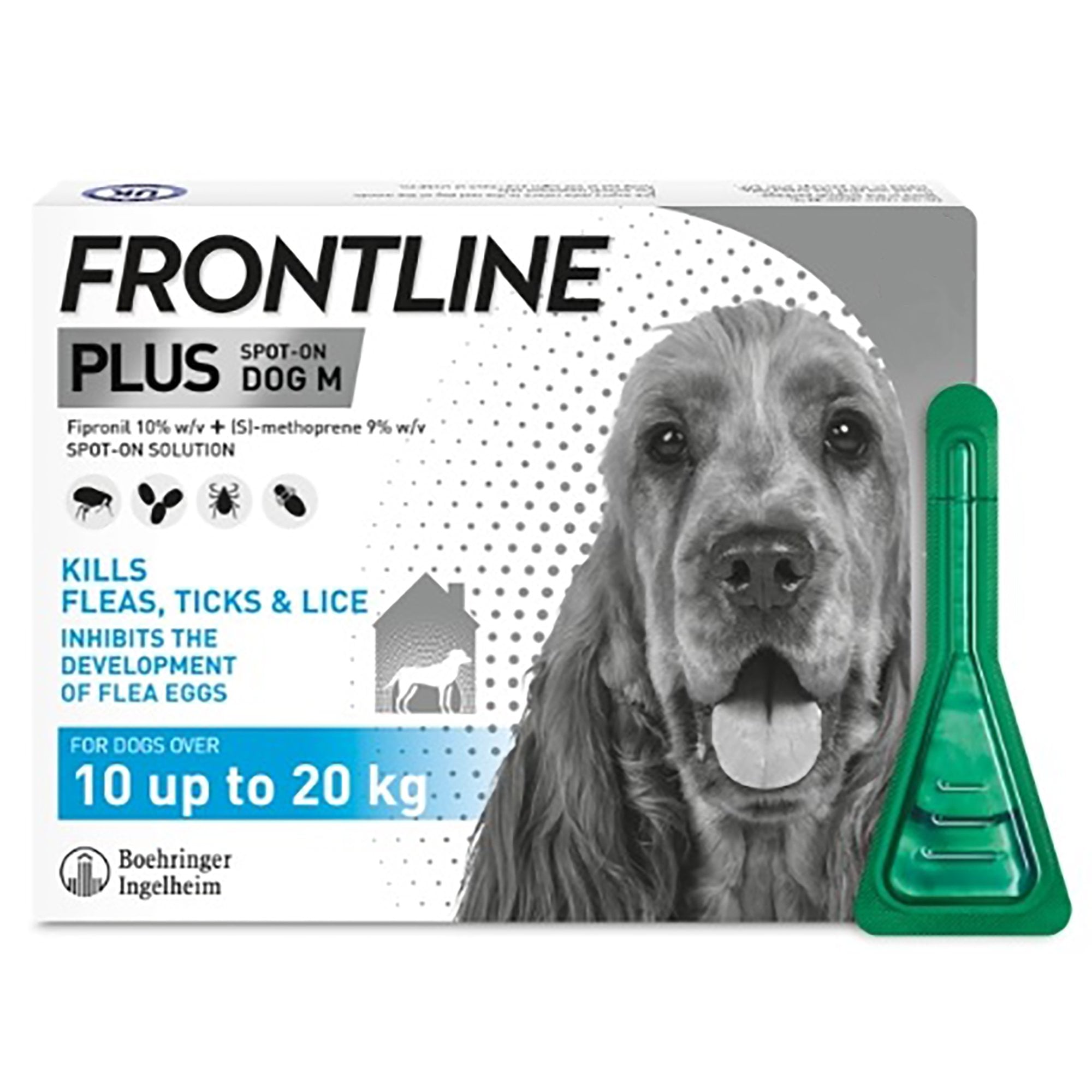 Plus Spot On Flea & Tick Dog Medium 1 Pipette (10 to 20kg)