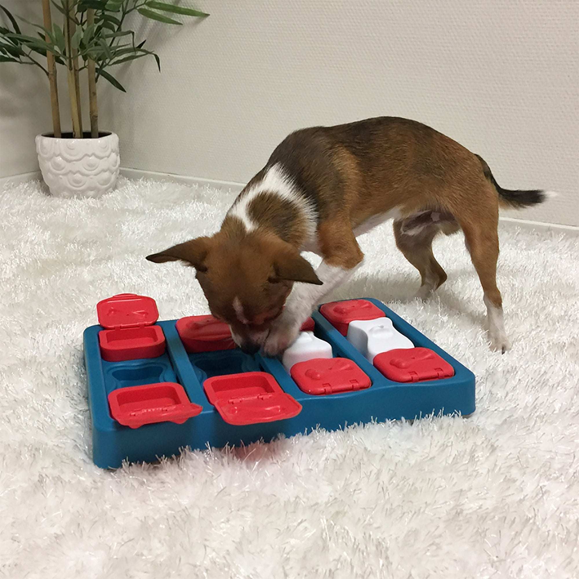 Nina Ottosson Outward Hound Dog Brick Puzzle Dog Toy