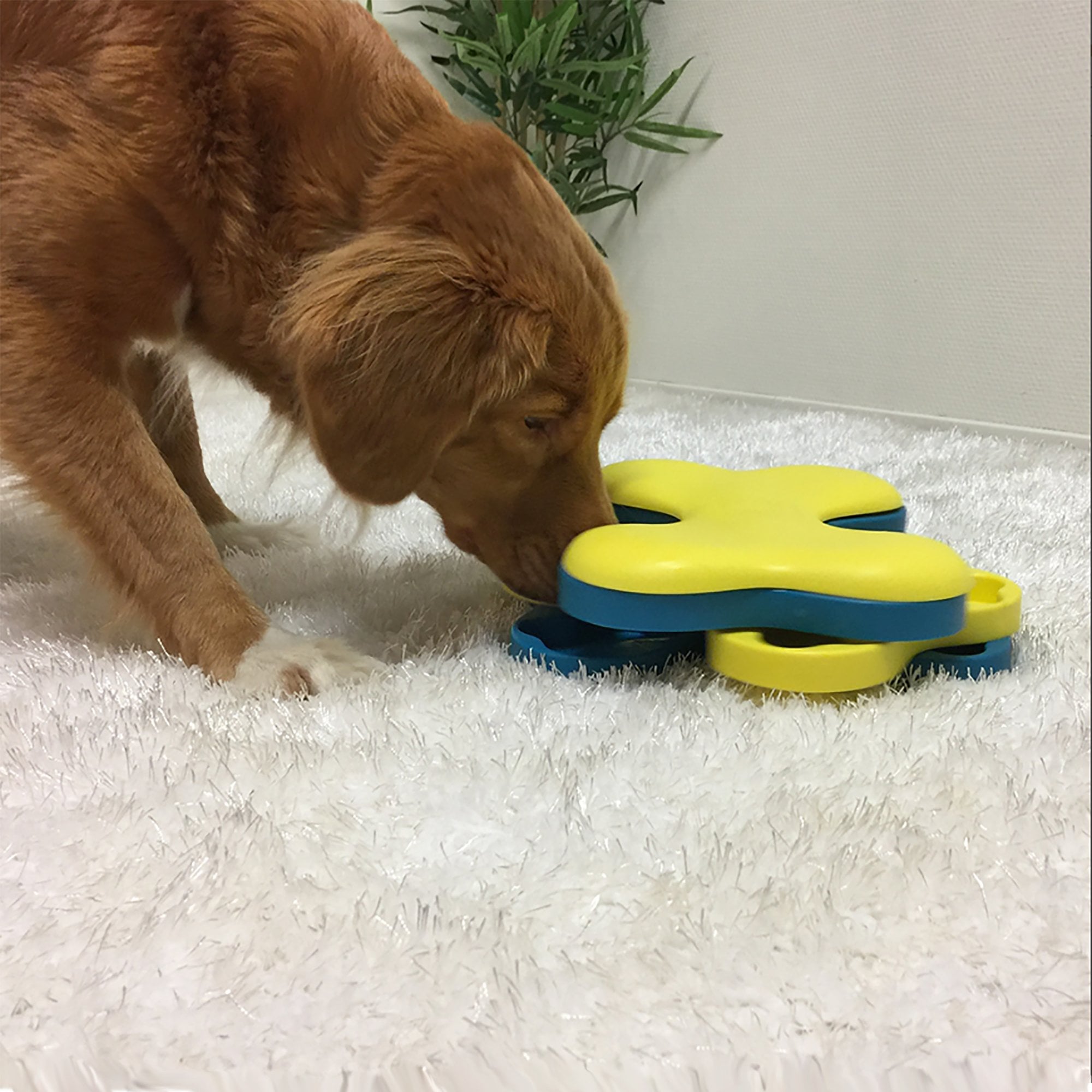 Nina Ottosson Outward Hound Tornado Puzzle Dog Toy