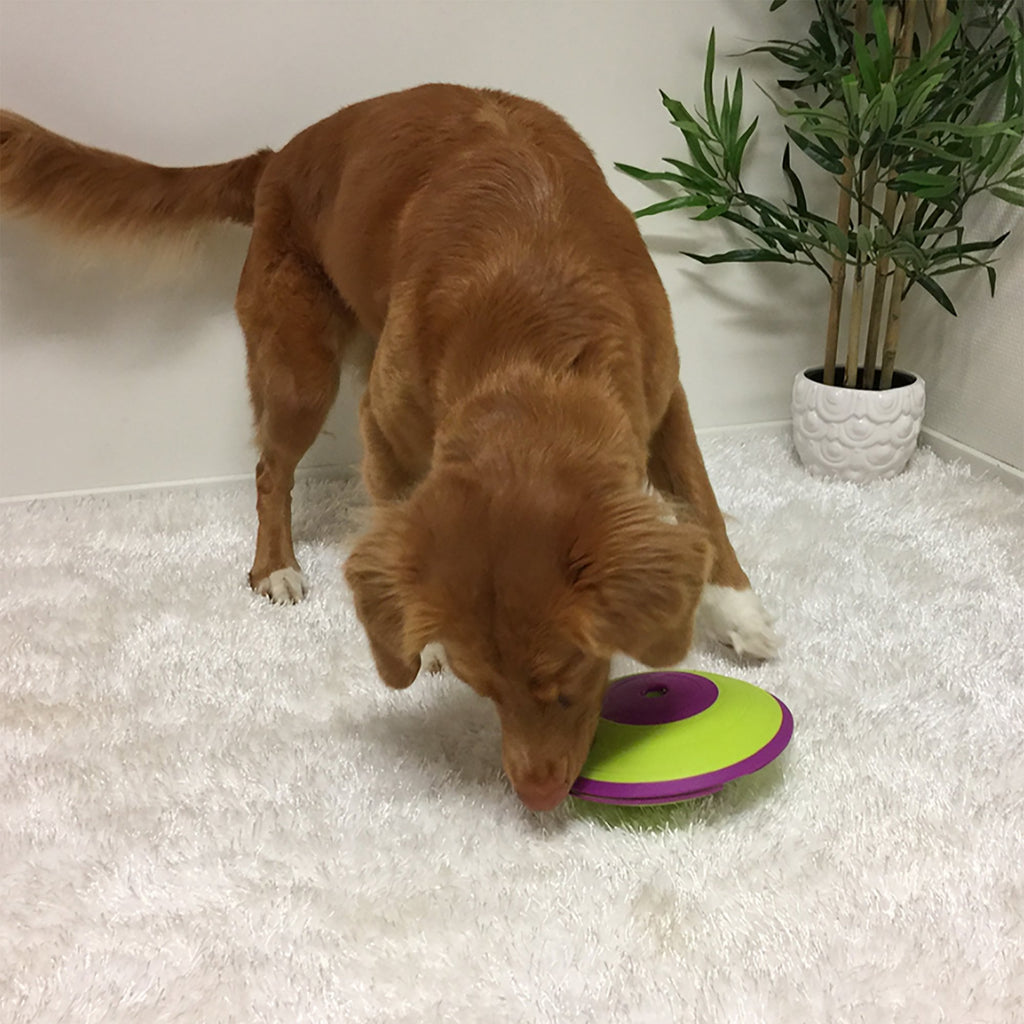 Nina Ottosson Outward Hound Dog Treat Maze Interactive Dog Toy