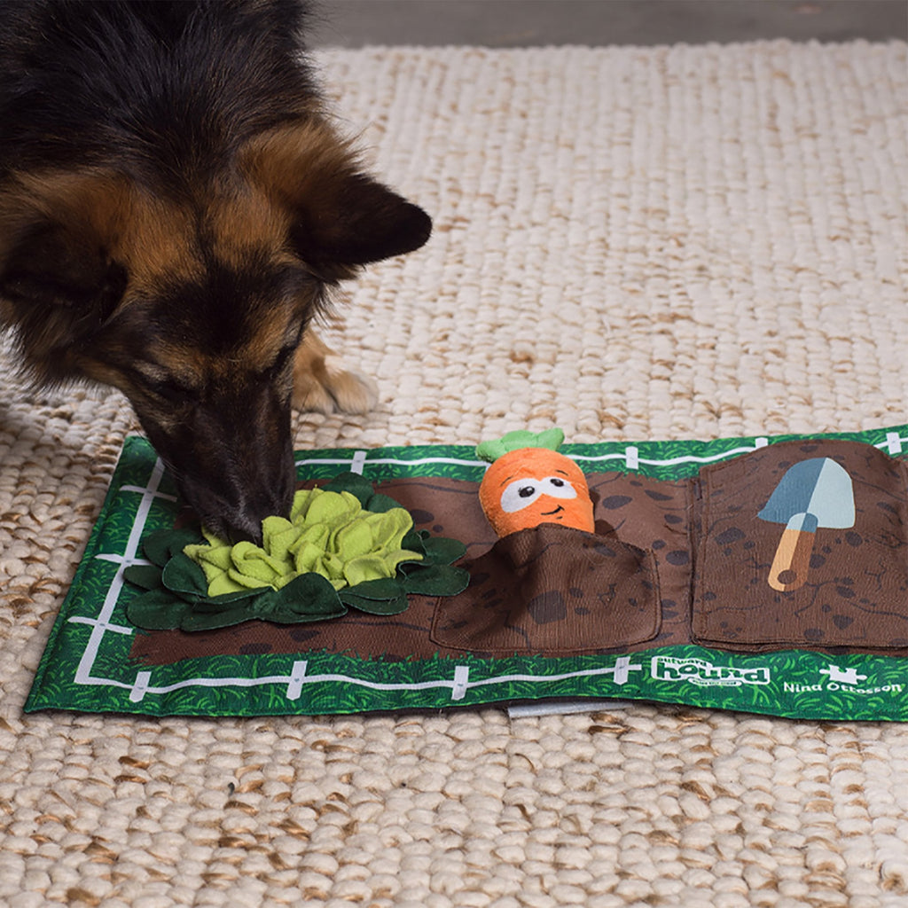 Nina Ottosson Outward Hound Activity Matz Fast Garden Game Mat Dog Toy