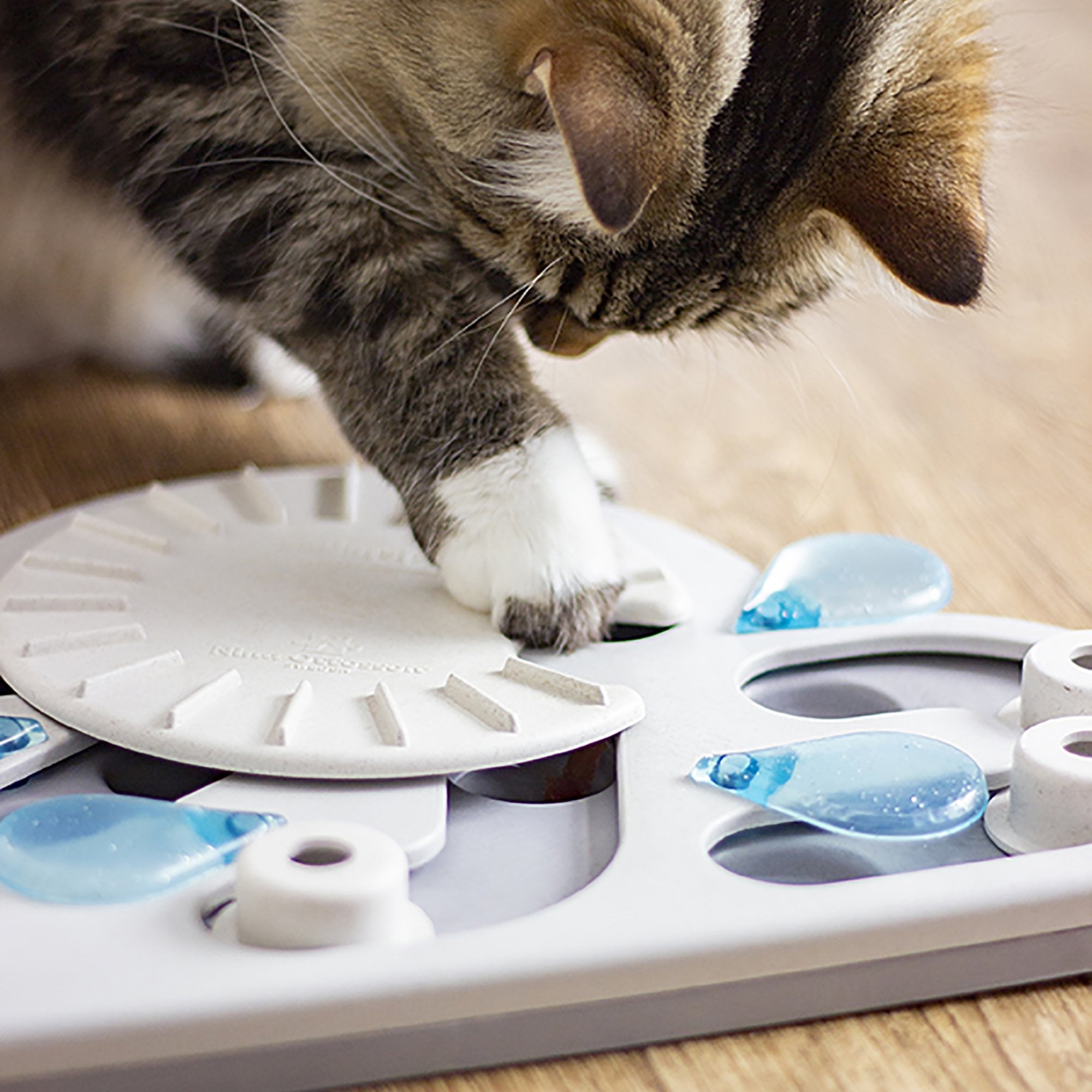 Outward Hound Rainy Day Puzzle & Play Cat Toy