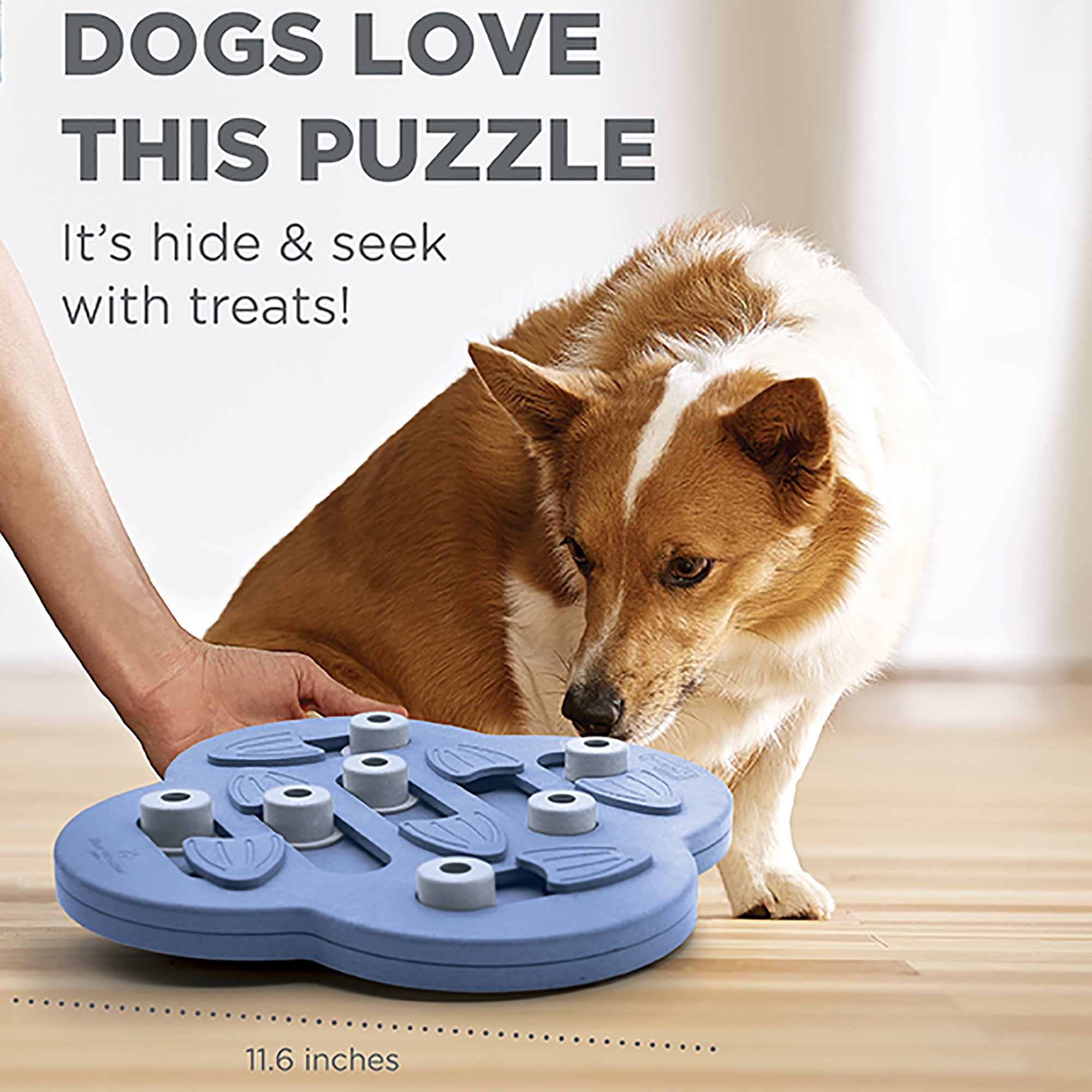 Nina Ottosson Outward Hound Hide N Side Dog Puzzle Dog Toy