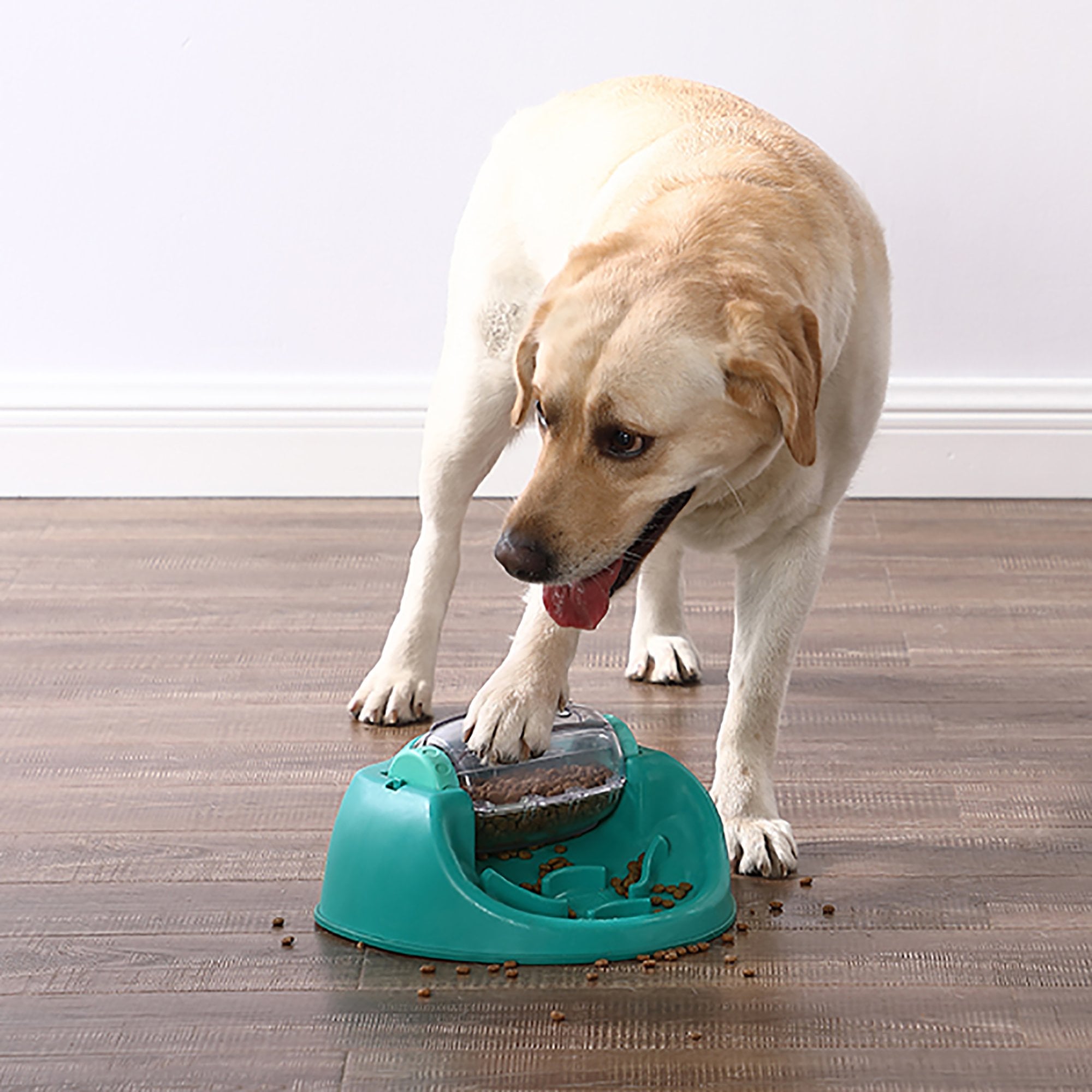Nina Ottosson Outward Hound Spin N' Eat Puzzle Dog Toy