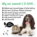 Hand-Harvested Irish Seaweed Plaque Remover For Cats & Dogs 70g