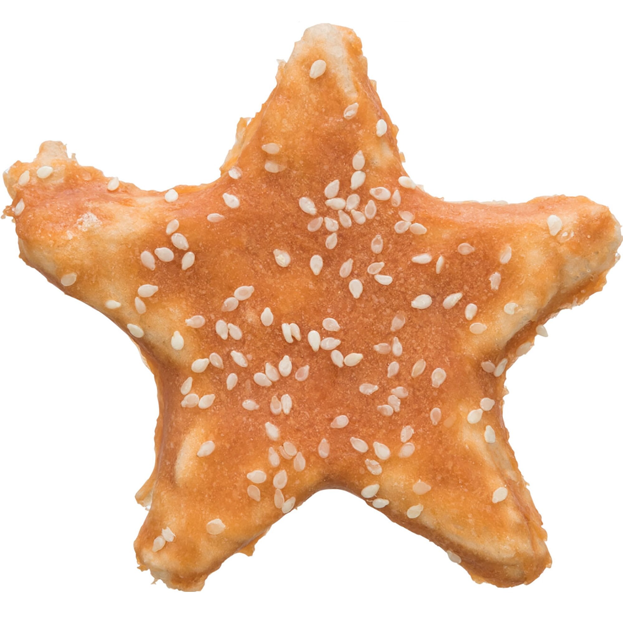 Denta Fun Chicken Star Dog Chew 30g
