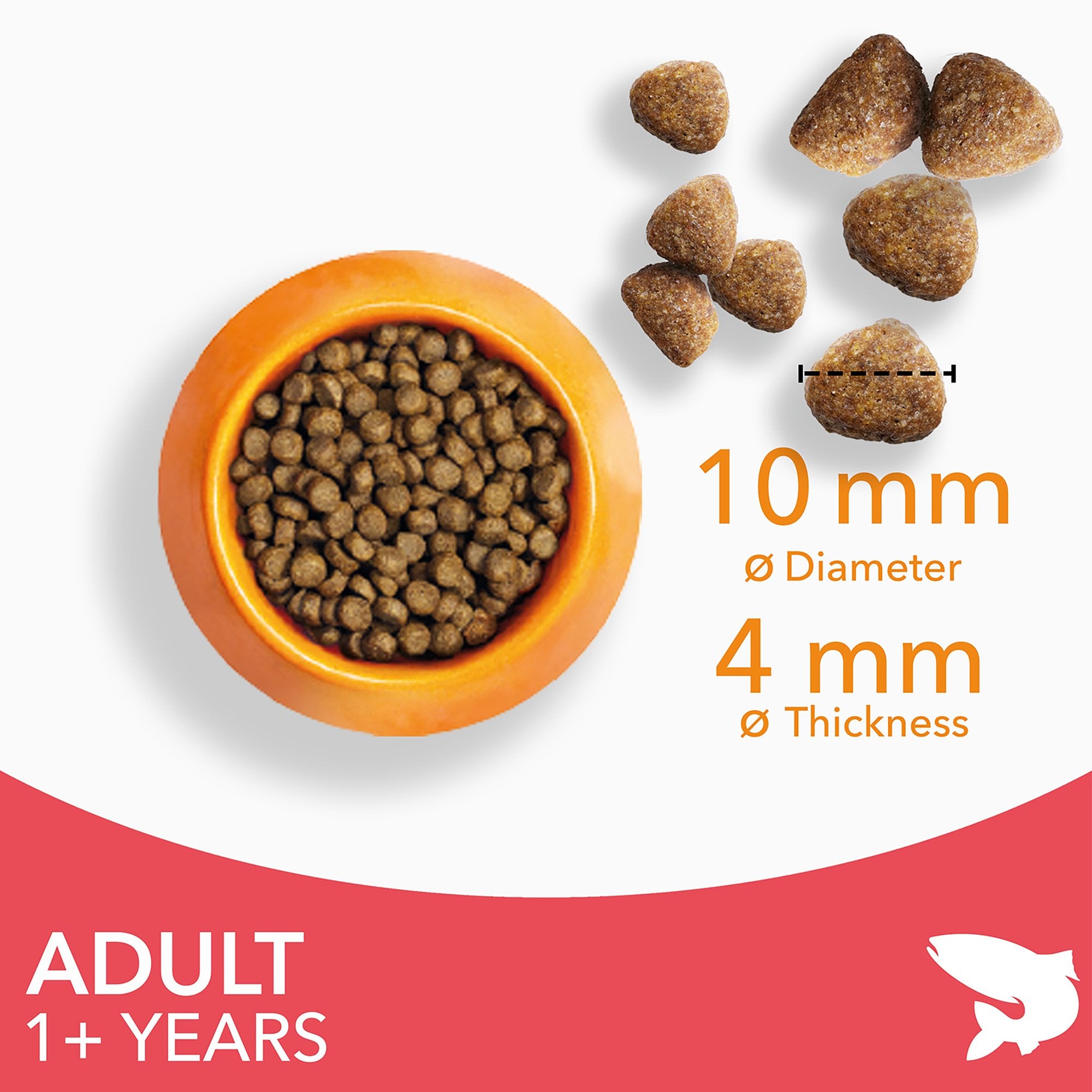 Adult 1+ Years Cat Food With Salmon 2kg