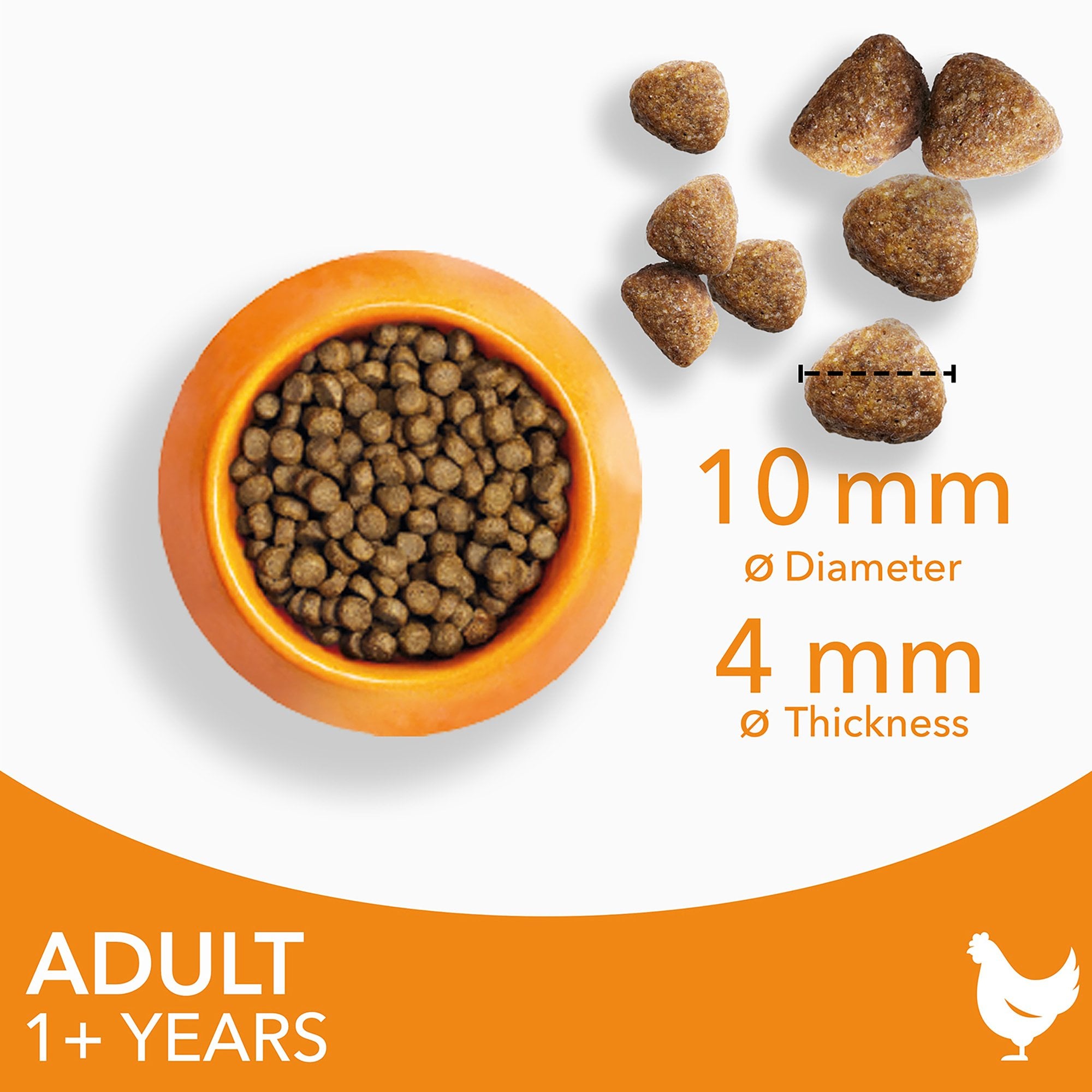 Adult 1+ Years Cat Food With Fresh Chicken 10kg