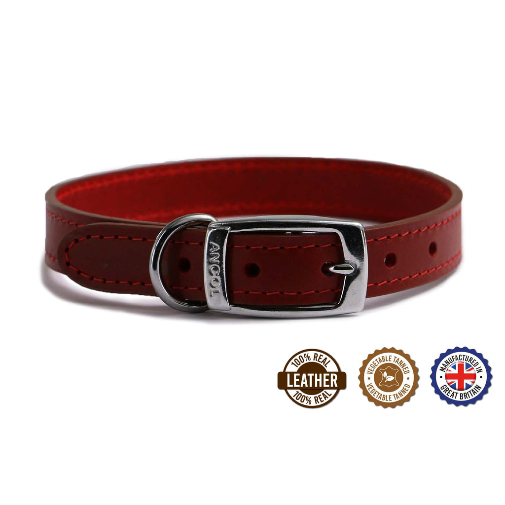 Ancol Classic Collection Leather Dog Collars